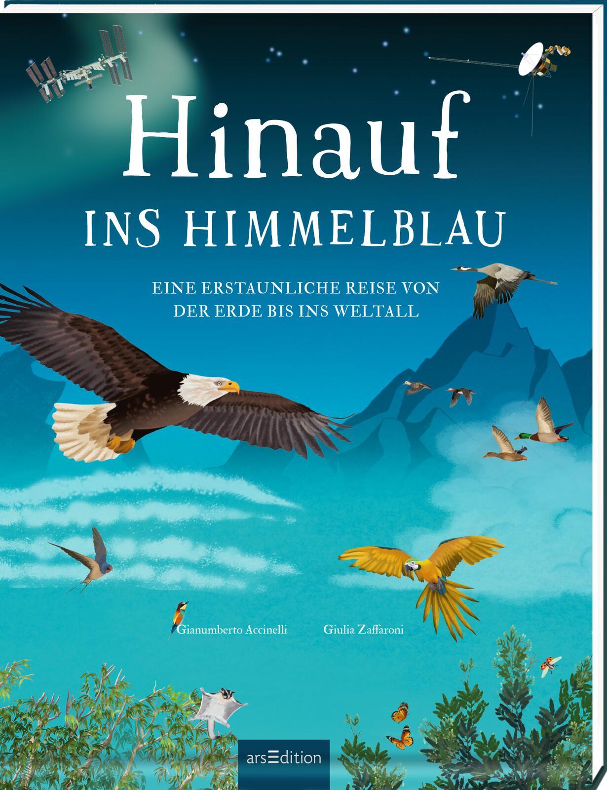 Vorderes Coverbild Hinauf ins Himmelblau