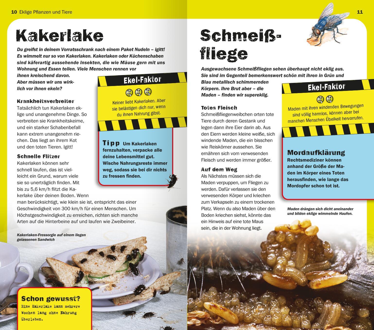 Beispielinhalt (Bild) Die 100 ekligsten Dinge der Welt