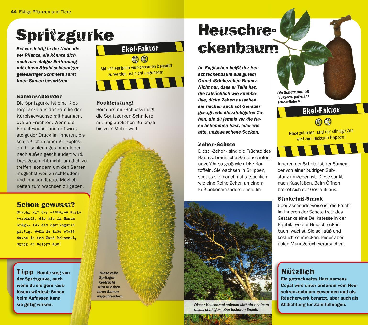 Beispielinhalt (Bild) Die 100 ekligsten Dinge der Welt
