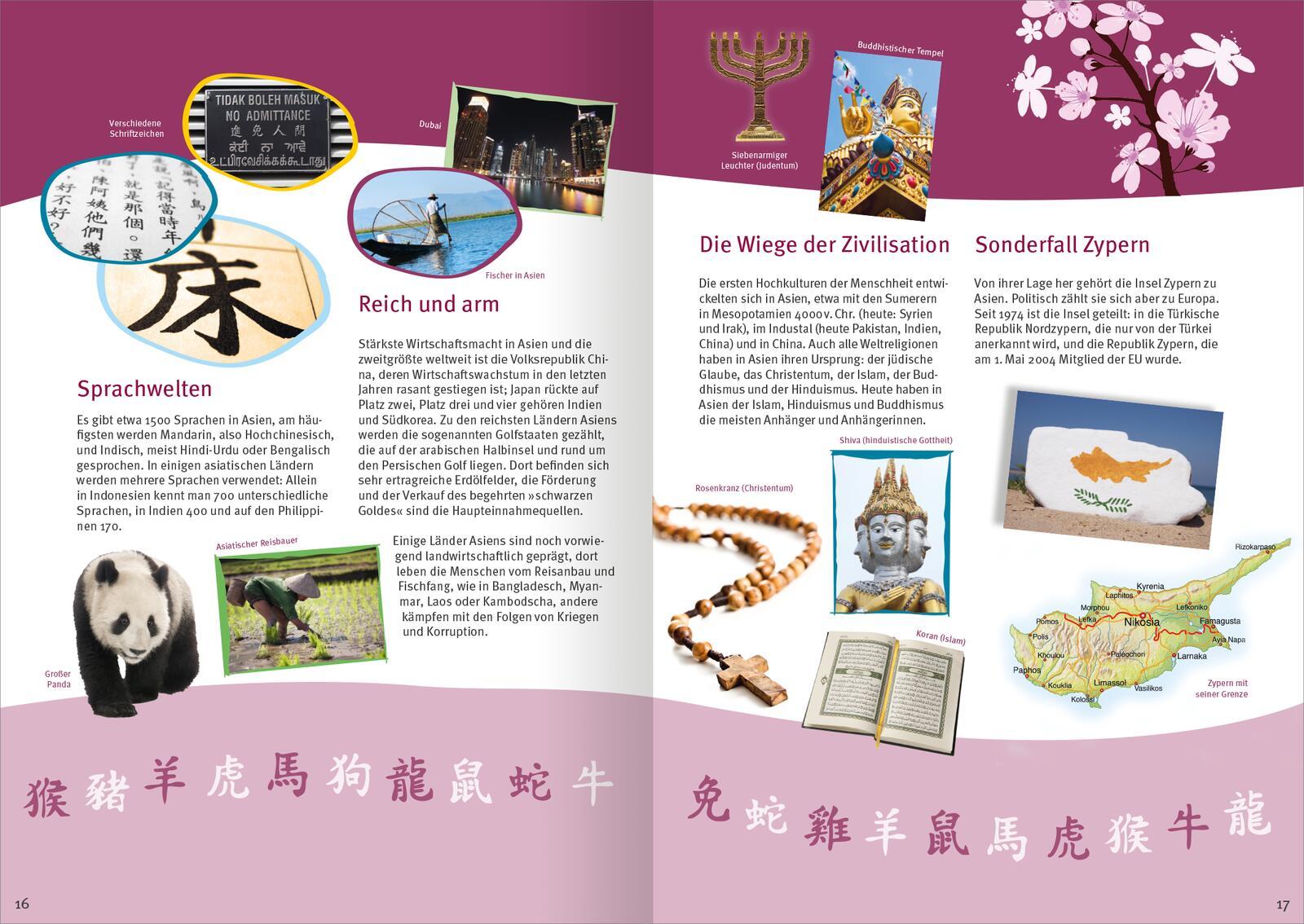 Beispielinhalt (Bild) Das große Flaggen-Stickerbuch