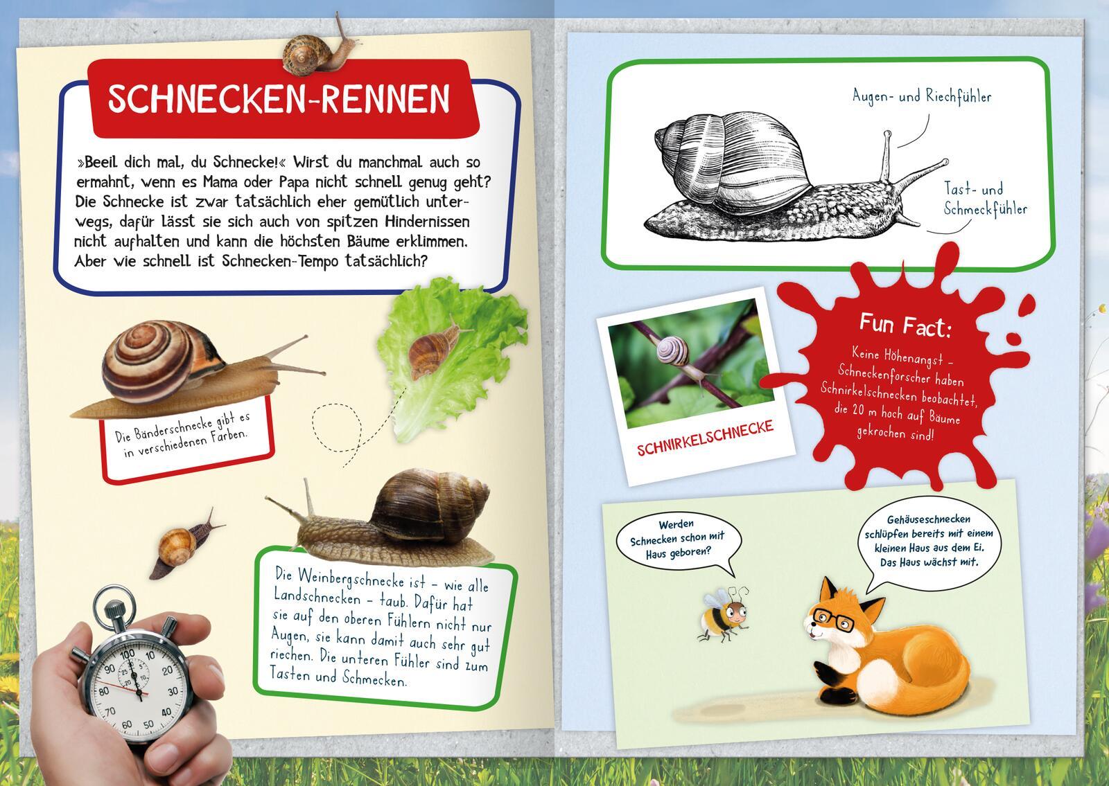 Beispielinhalt (Bild) Naturforscher-Kids - Mein erstes Naturforscher-Buch