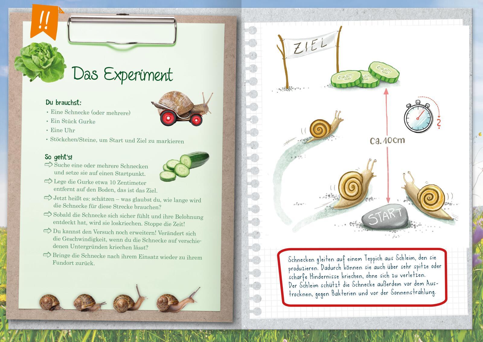 Beispielinhalt (Bild) Naturforscher-Kids - Mein erstes Naturforscher-Buch