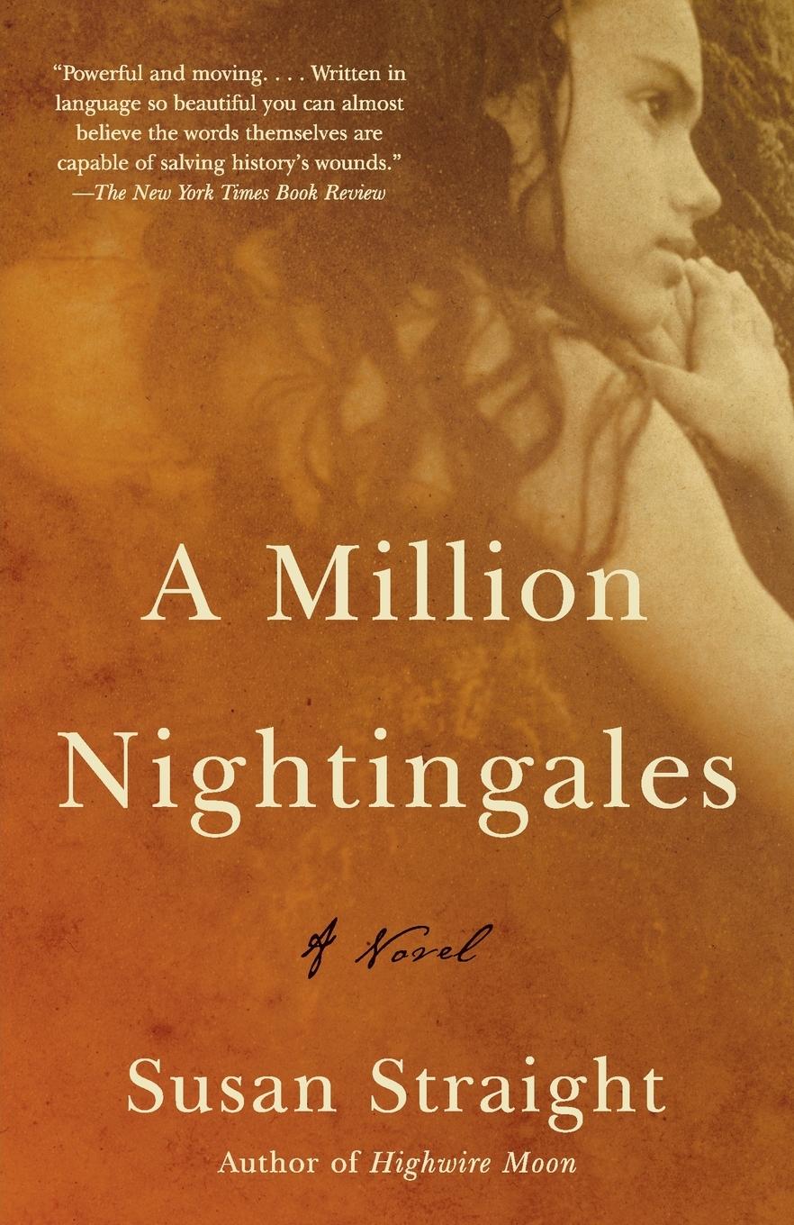 Vorderes Coverbild A Million Nightingales