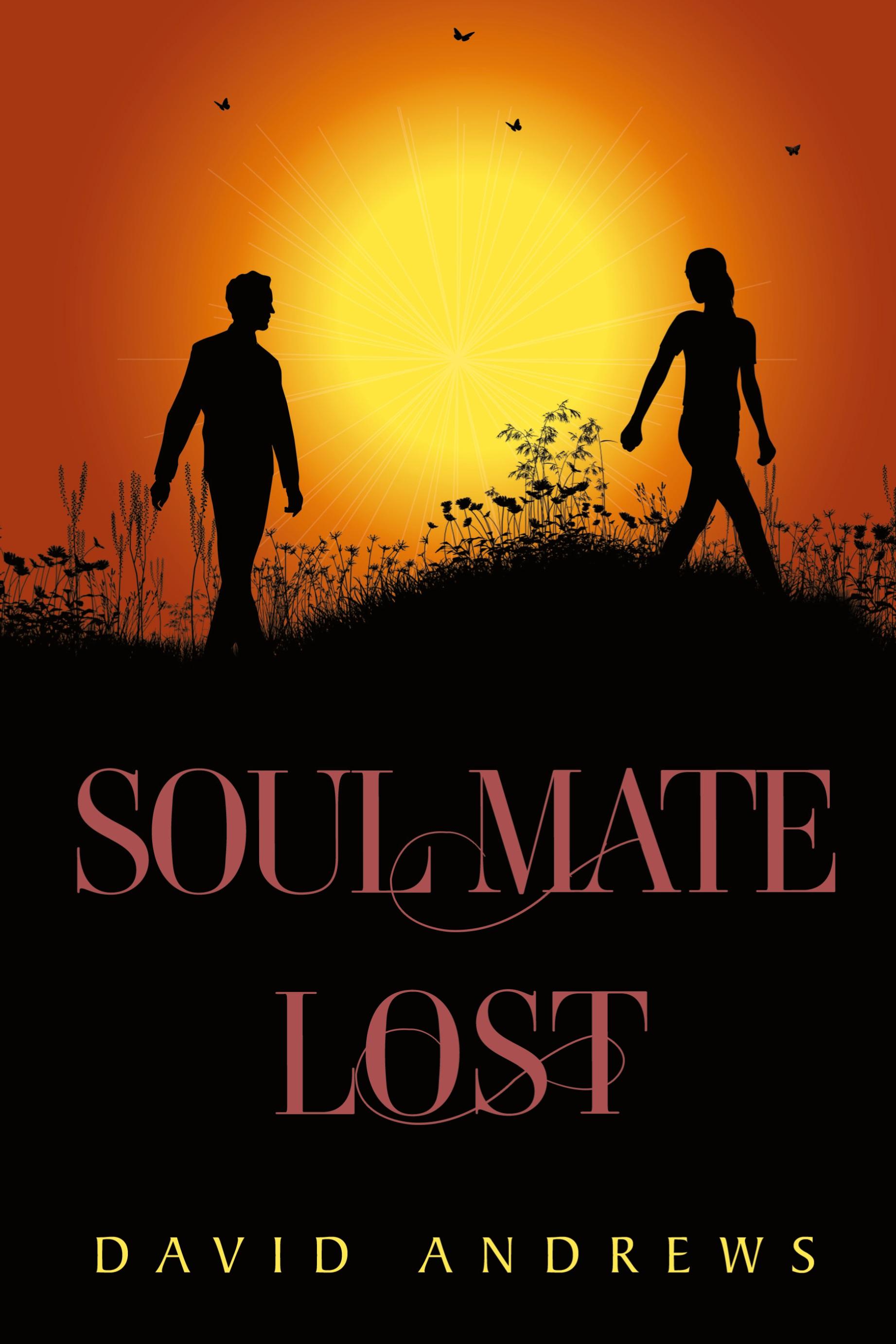 Vorderes Coverbild Soul Mate Lost