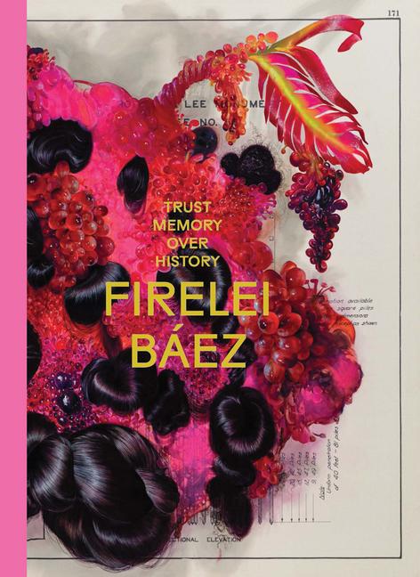 Vorderes Coverbild Firelei Báez: Trust Memory Over History