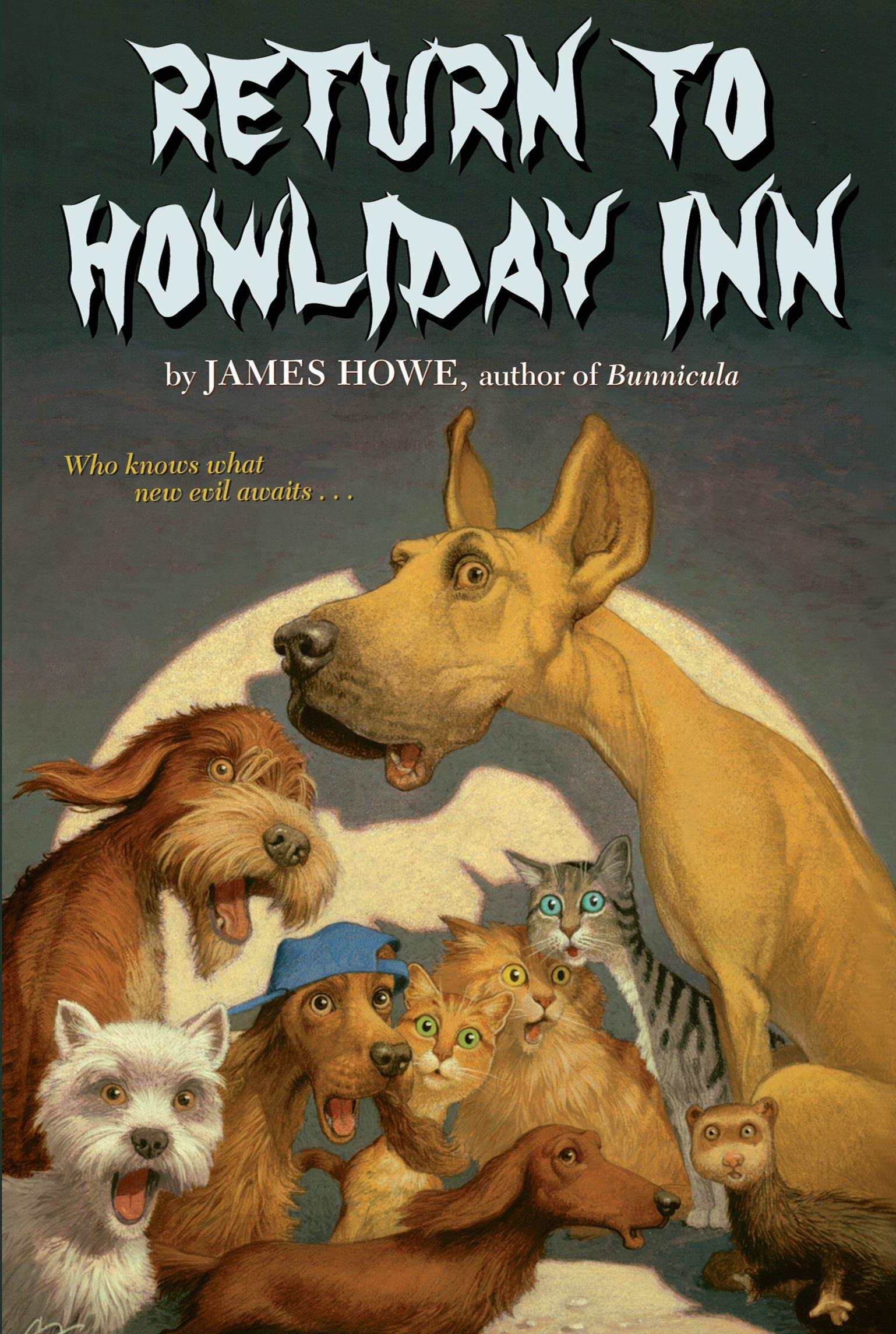 Vorderes Coverbild Return to Howliday Inn