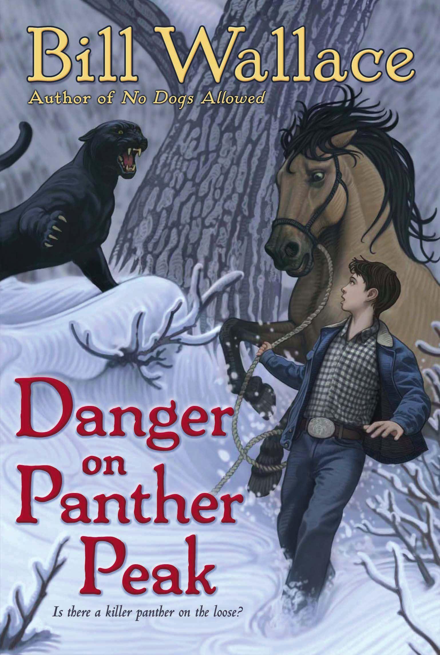 Vorderes Coverbild Danger on Panther Peak