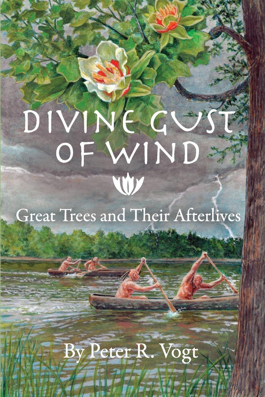Vorderes Coverbild Divine Gust of Wind