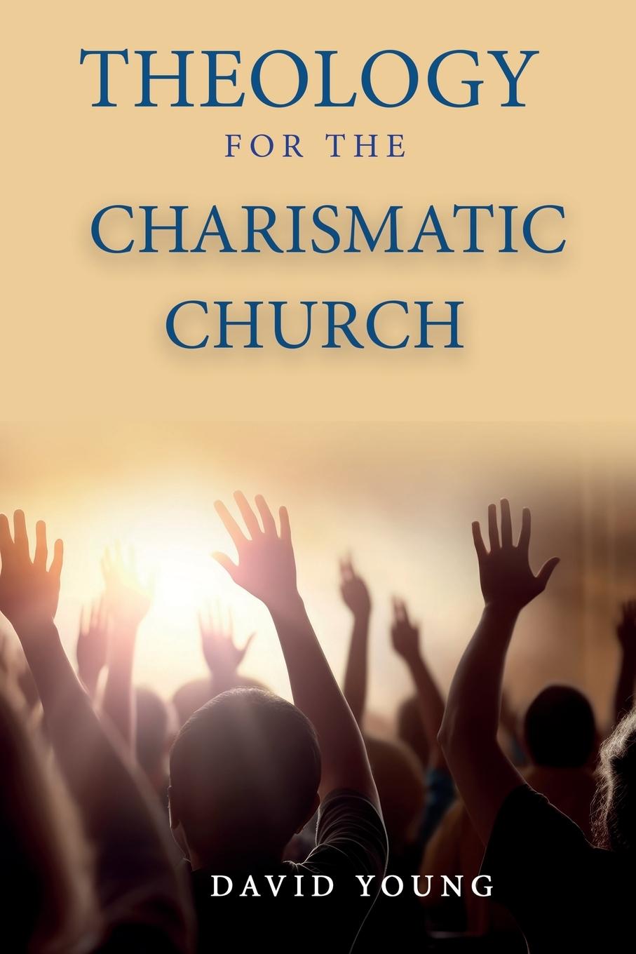 Vorderes Coverbild Theology For the Charismatic Church