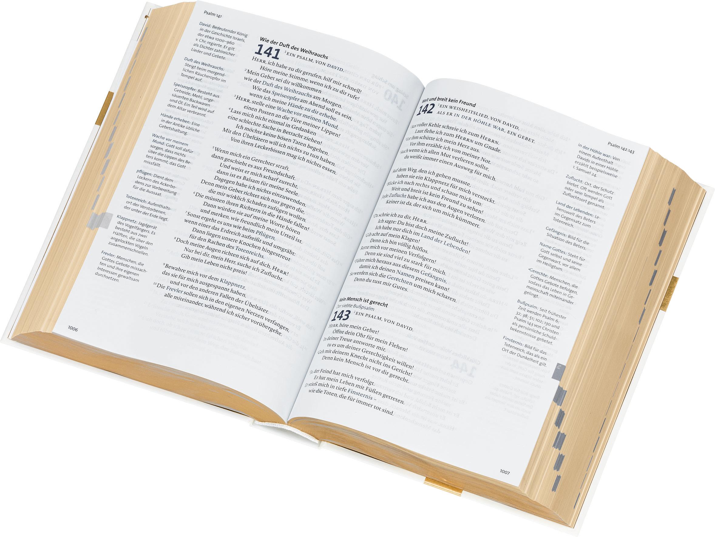 Beispielinhalt (Bild) BasisBibel. Die Kompakte. Traubibel. Das Geschenk zur Hochzeit: Bibel mit edlem Farbschnitt, Familienchronik und Widmungsblatt. Moderne Bibelübersetzung. Vollbibel mit Altem und Neuen Testament