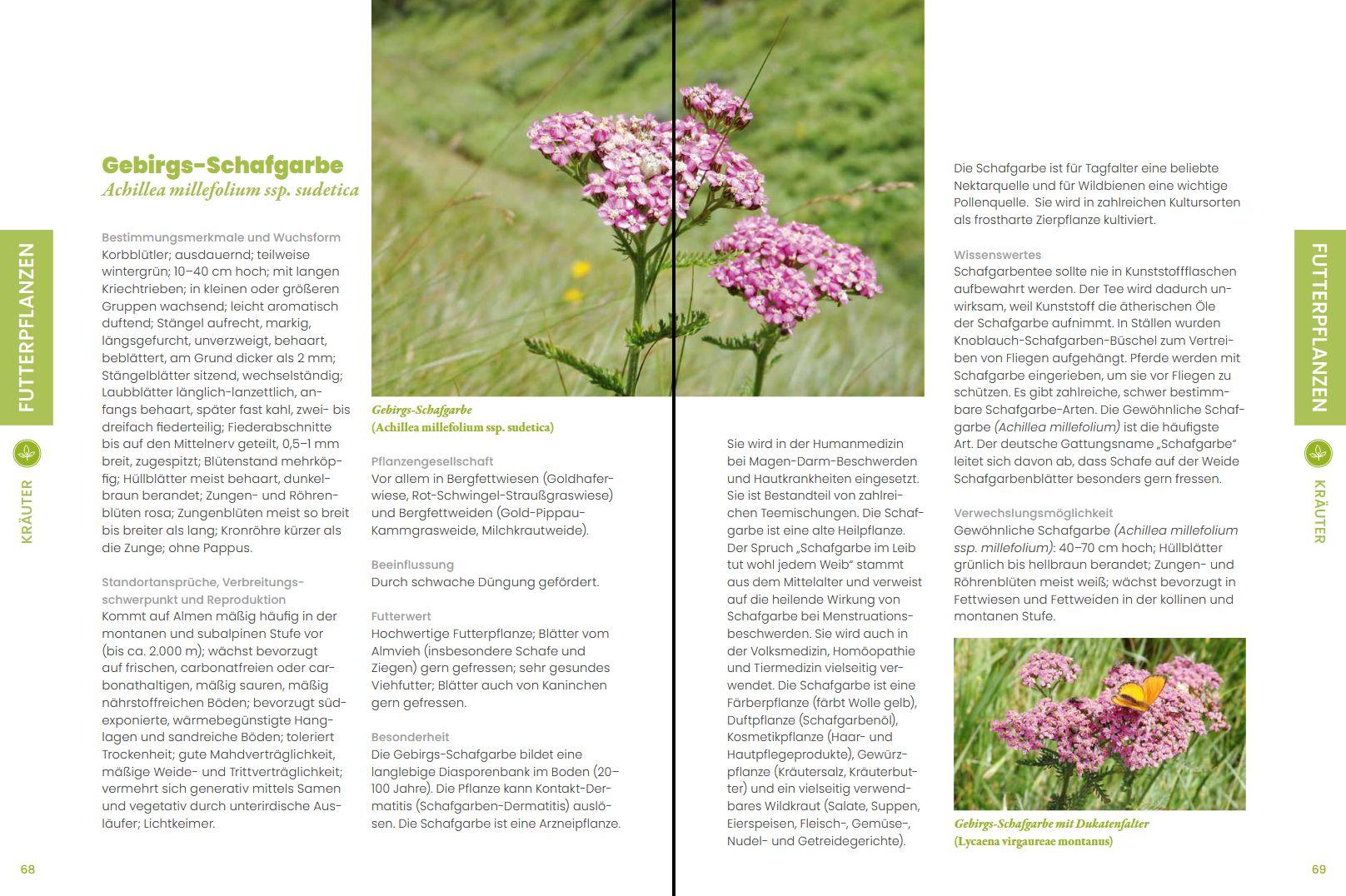 Beispielinhalt (Bild) Praxisführer Almpflanzen