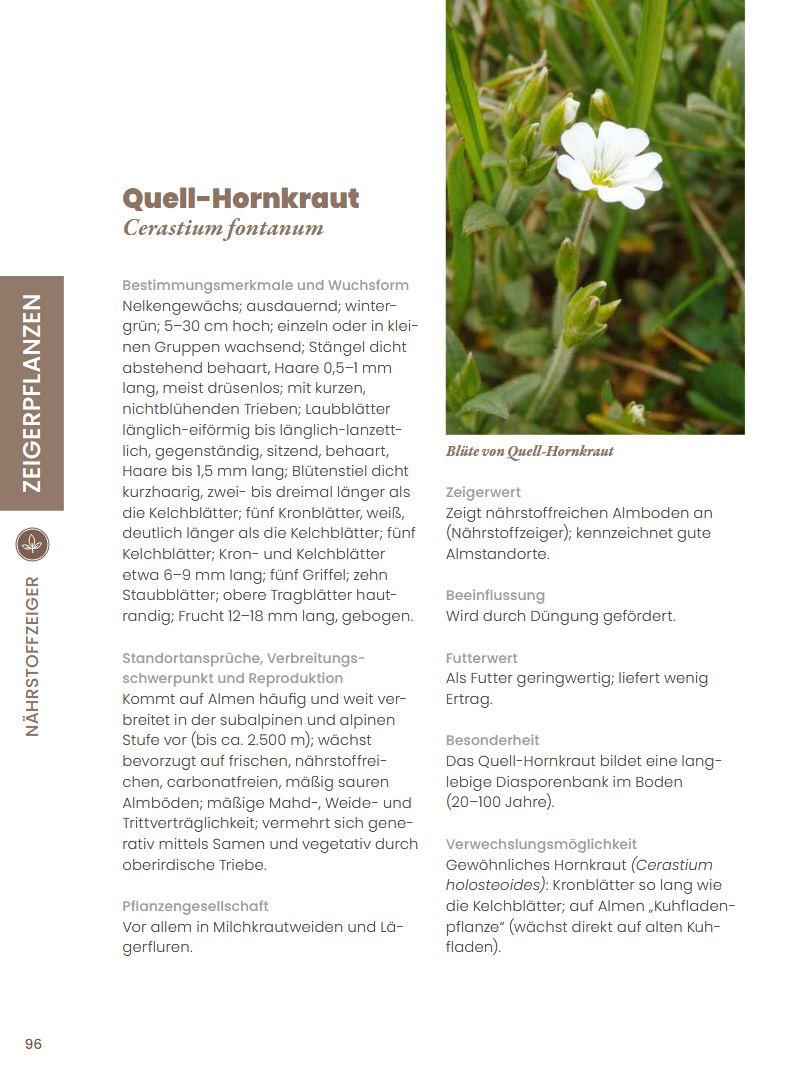 Beispielinhalt (Bild) Praxisführer Almpflanzen