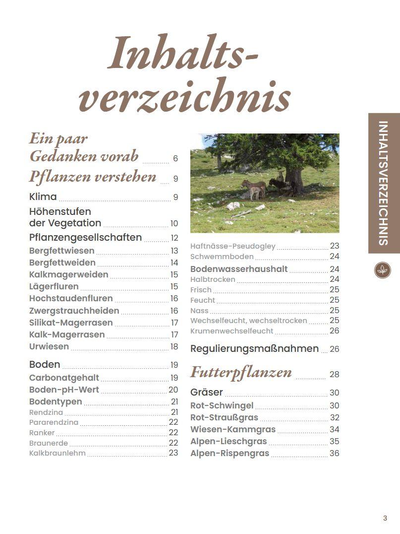 Beispielinhalt (Bild) Praxisführer Almpflanzen