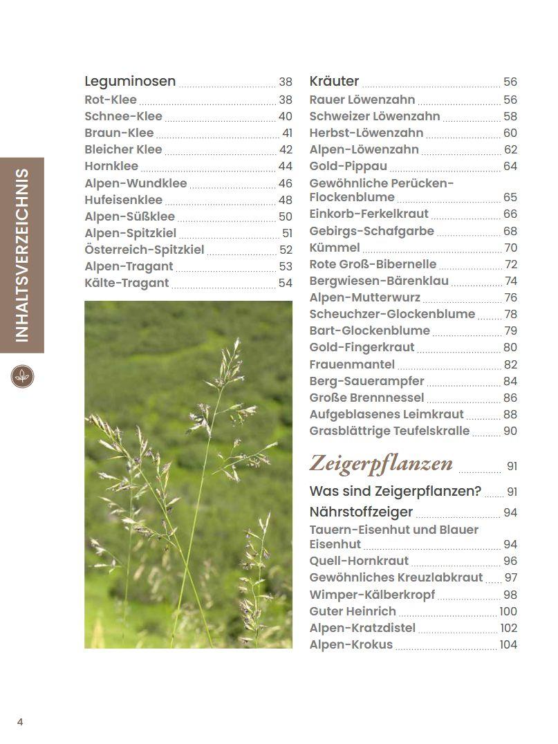 Beispielinhalt (Bild) Praxisführer Almpflanzen