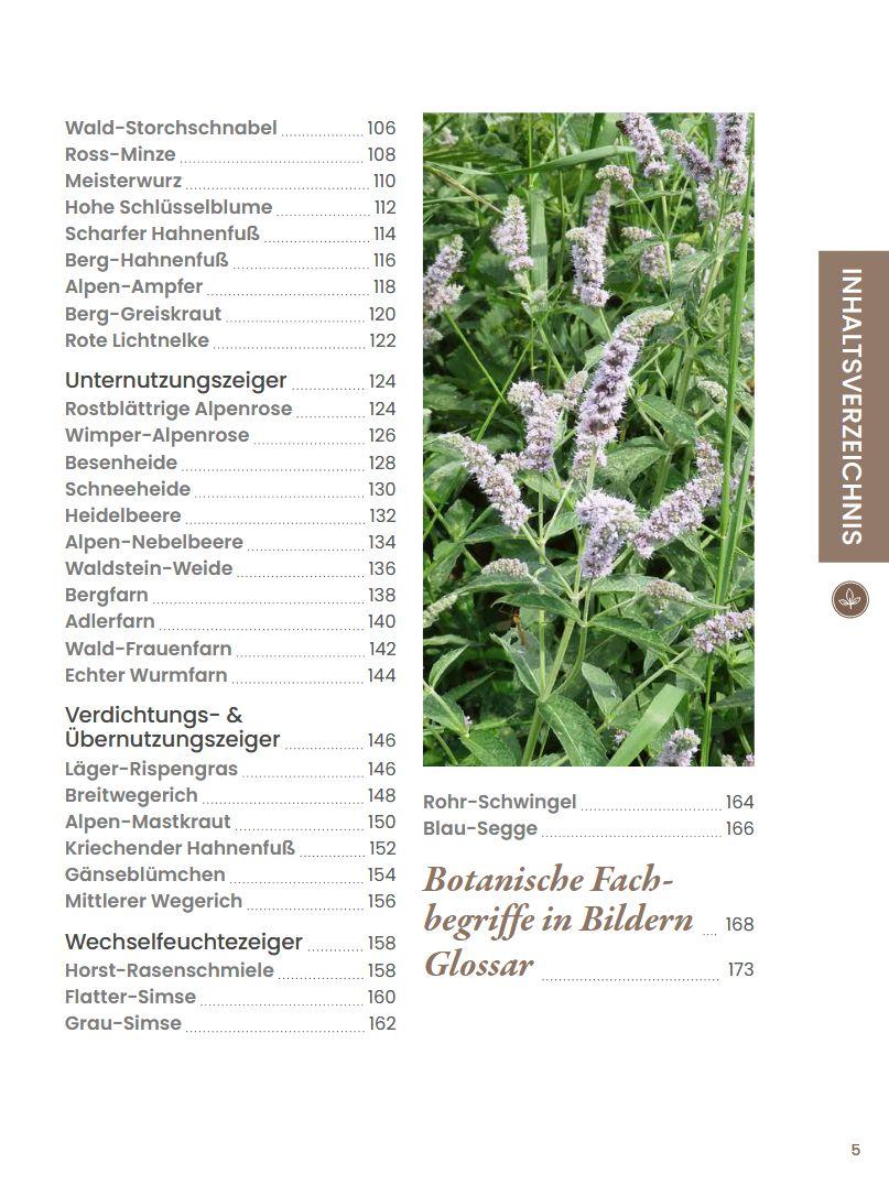 Beispielinhalt (Bild) Praxisführer Almpflanzen