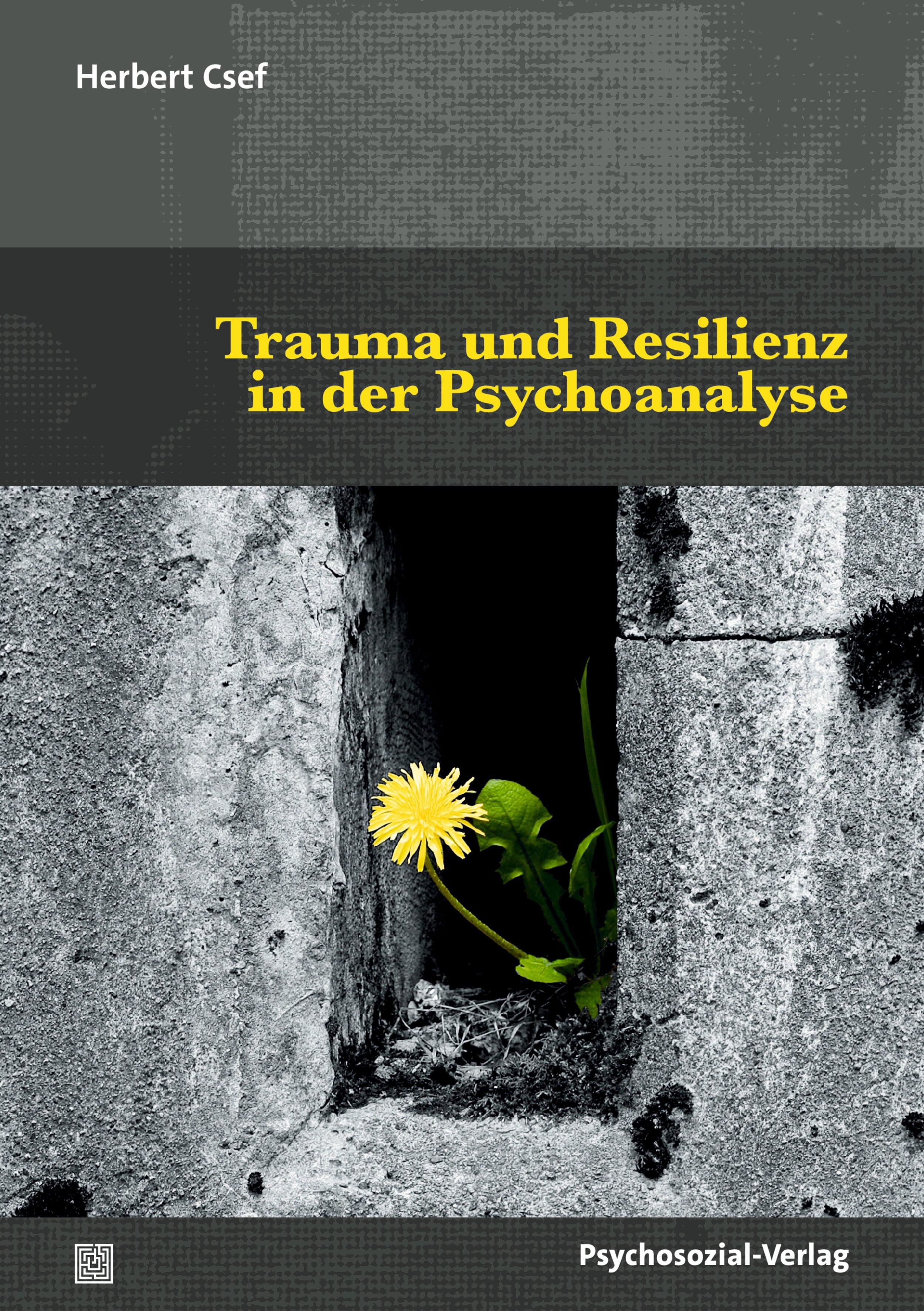 Vorderes Coverbild Trauma und Resilienz in der Psychoanalyse