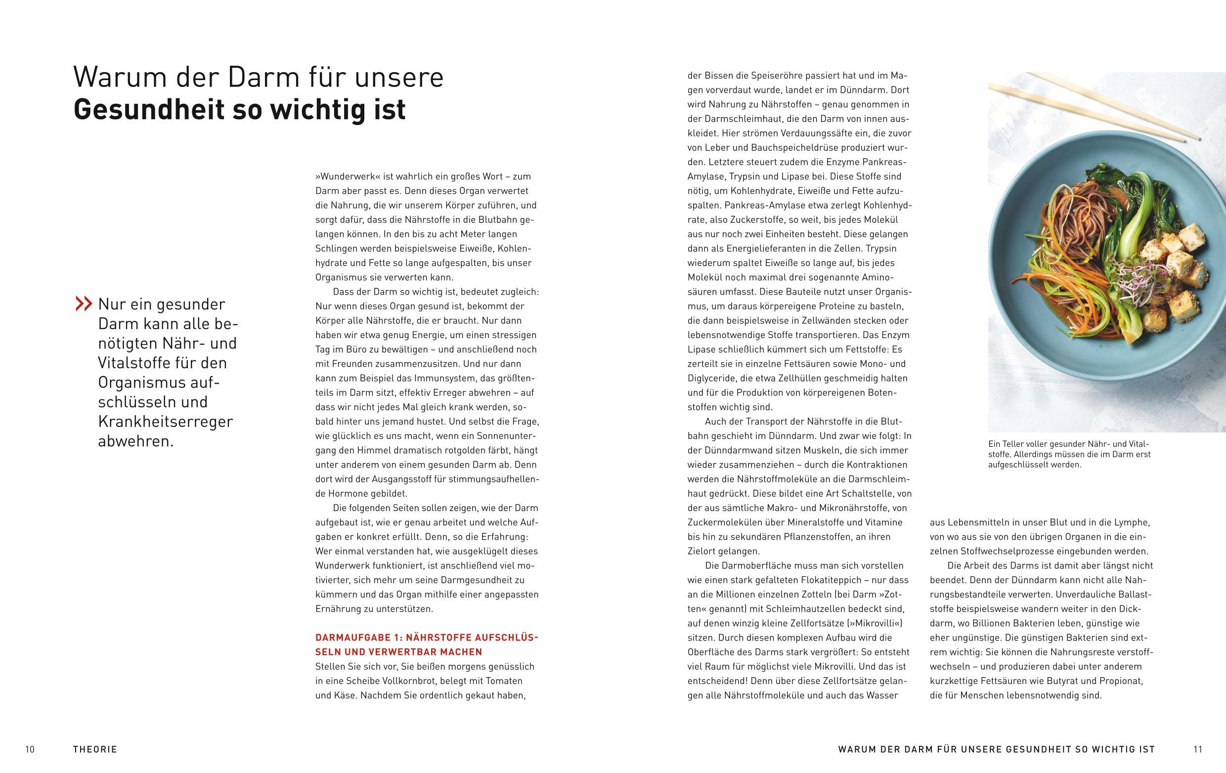 Beispielinhalt (Bild) Medical Cuisine - Gesunder Darm