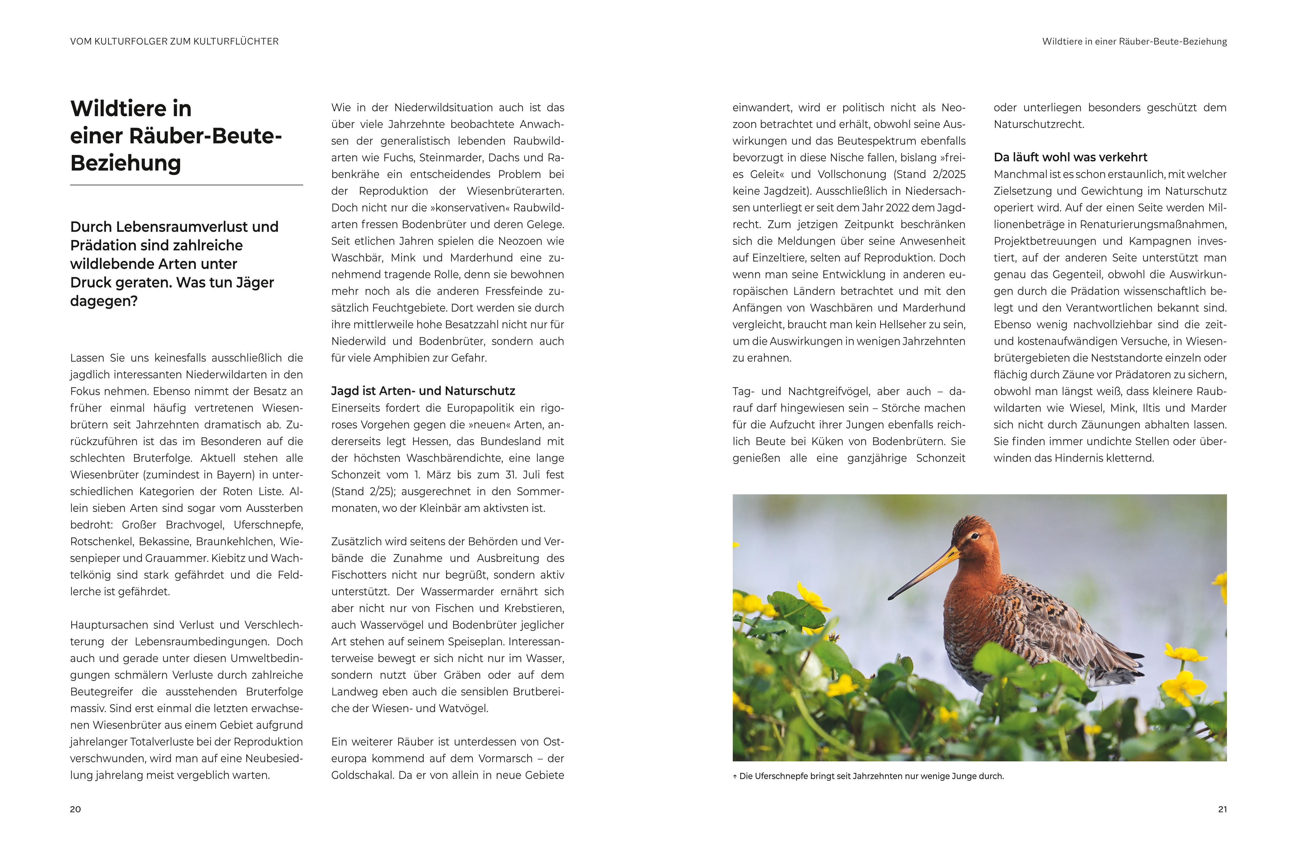 Beispielinhalt (Bild) Das große BLV Handbuch Niederwild