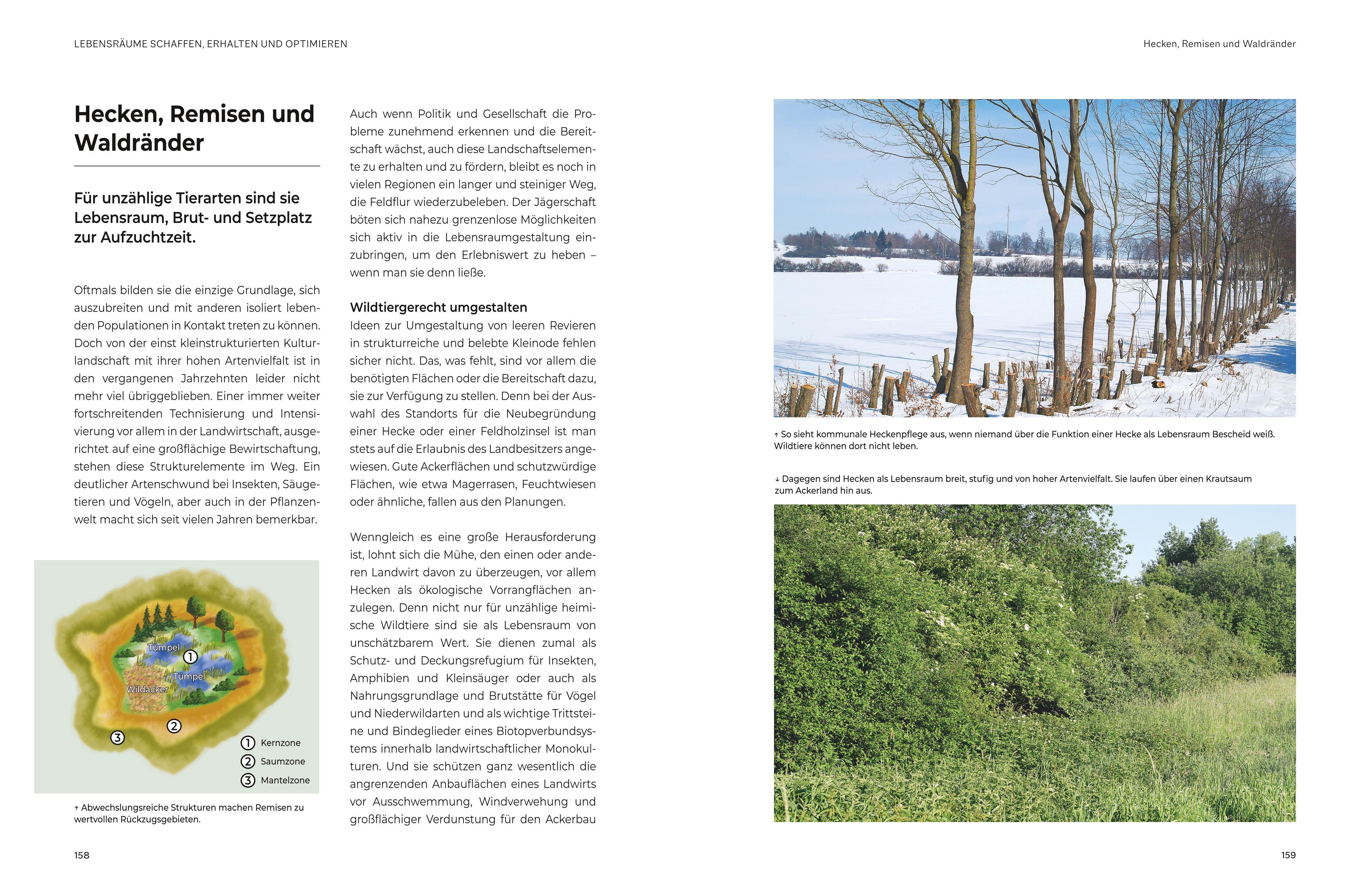 Beispielinhalt (Bild) Das große BLV Handbuch Niederwild