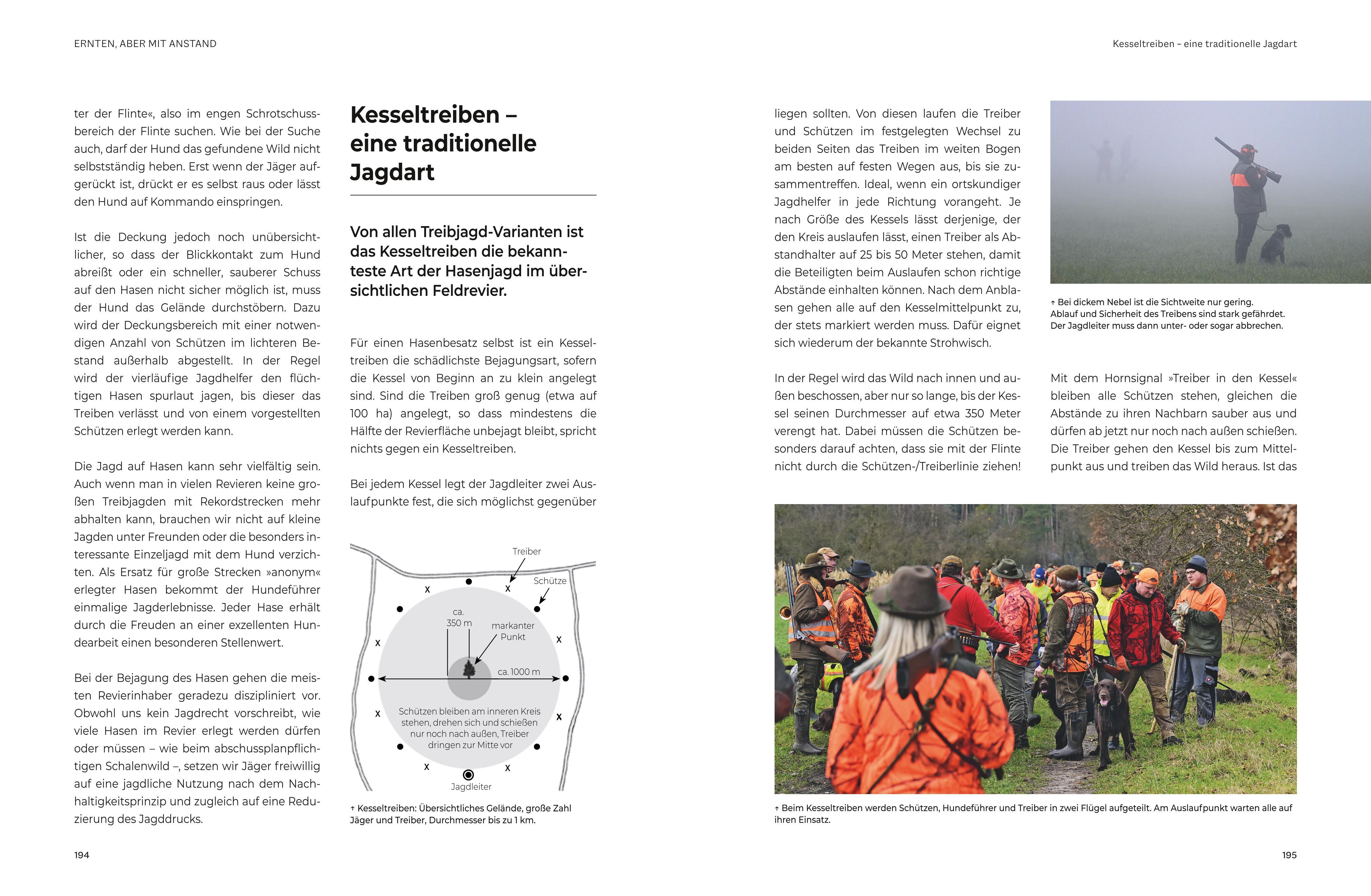 Beispielinhalt (Bild) Das große BLV Handbuch Niederwild