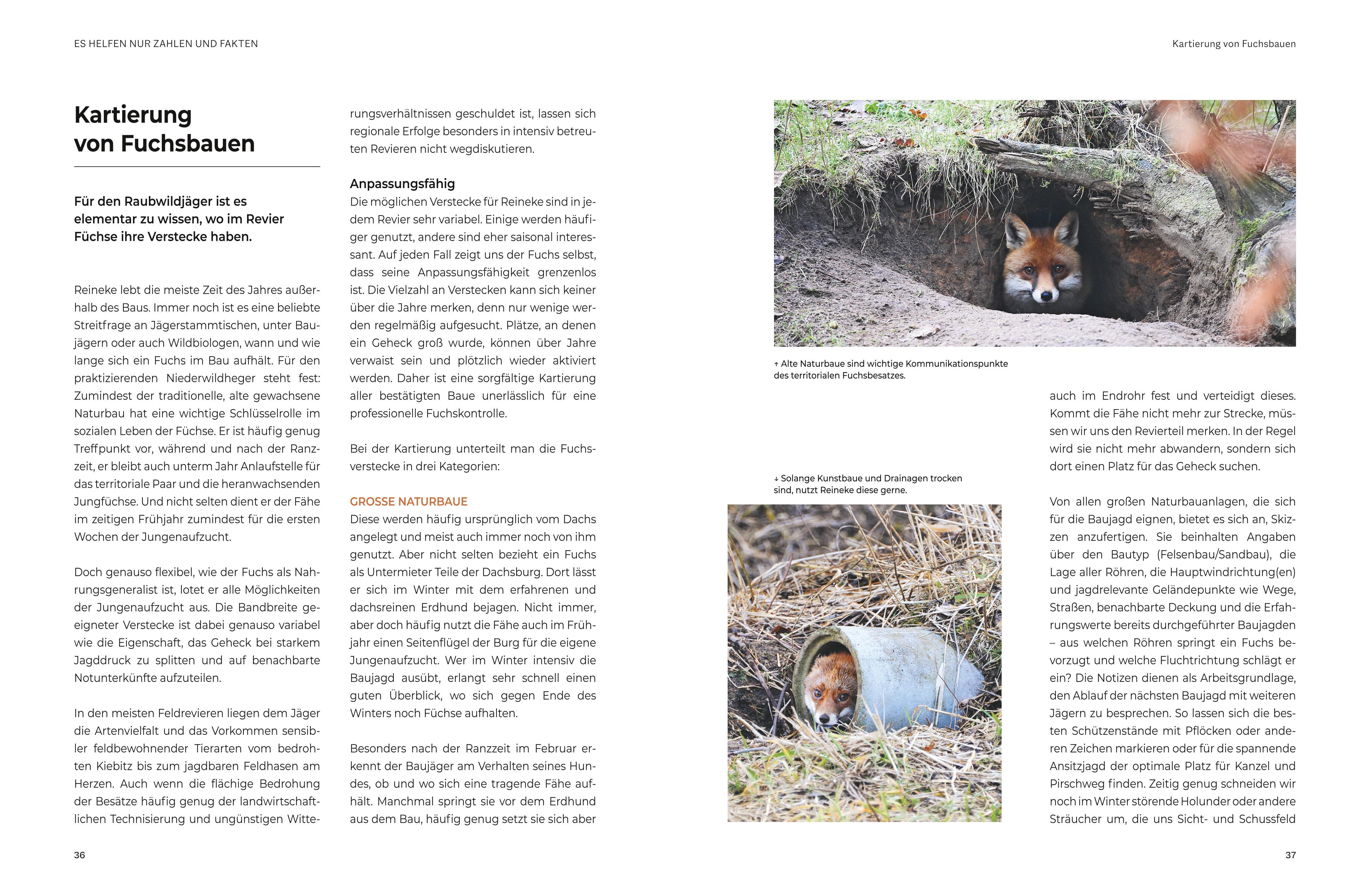 Beispielinhalt (Bild) Das große BLV Handbuch Niederwild