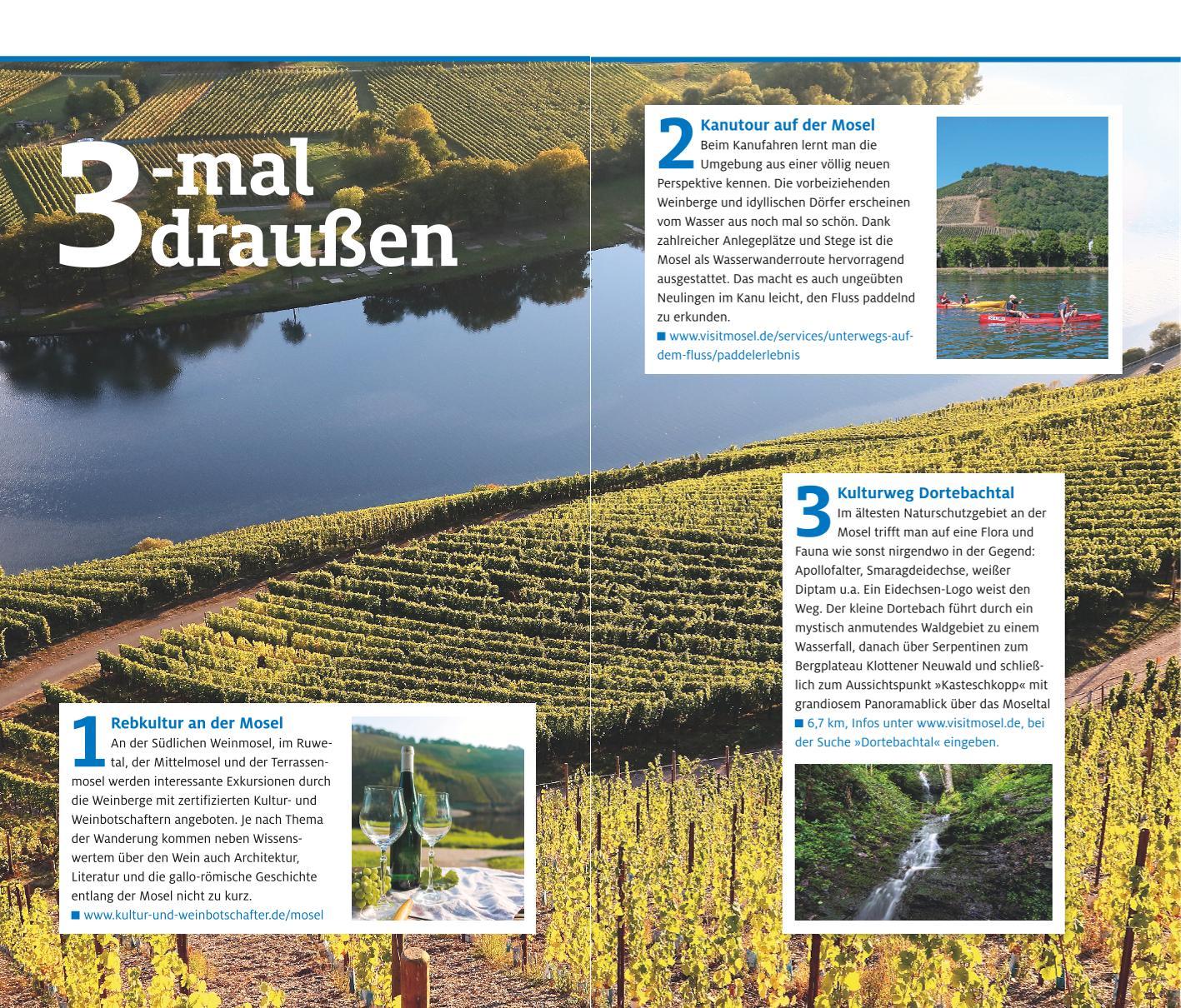 Beispielinhalt (Bild) ADAC Reiseführer plus Mosel