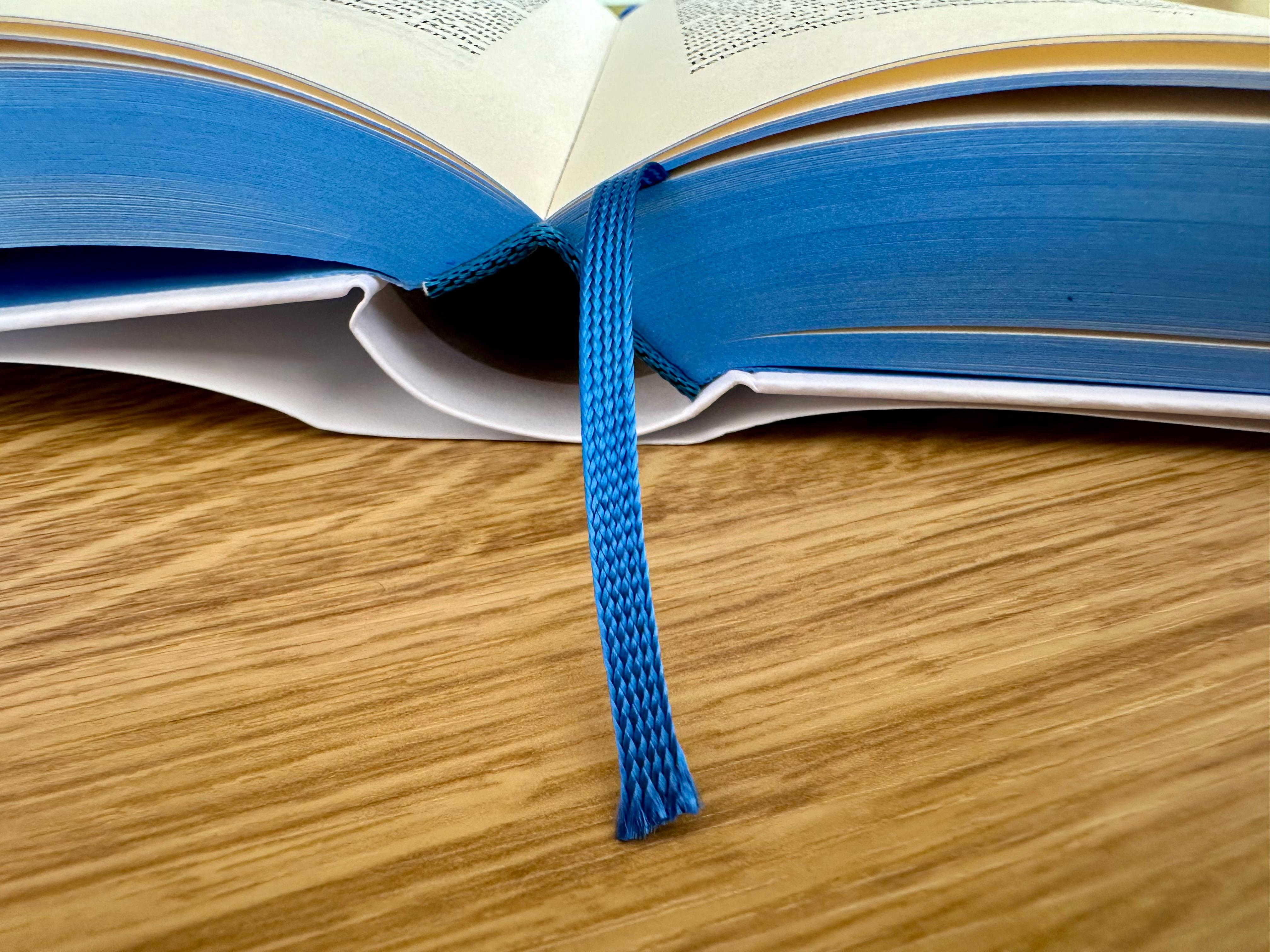 Beispielinhalt (Bild) Blue Sisters