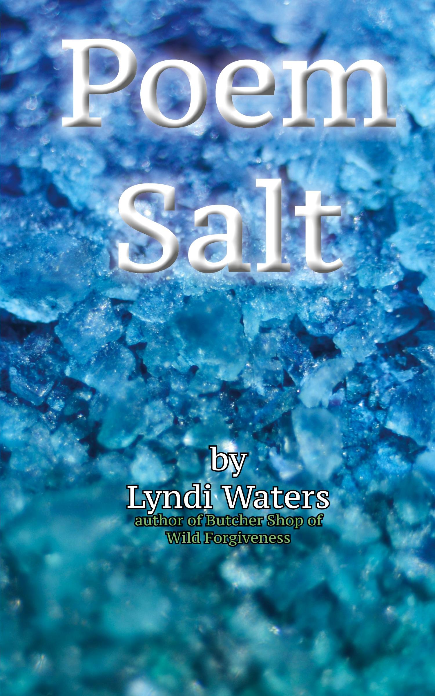 Vorderes Coverbild Poem Salt