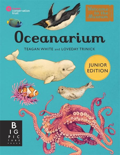 Vorderes Coverbild Oceanarium (Junior Edition)
