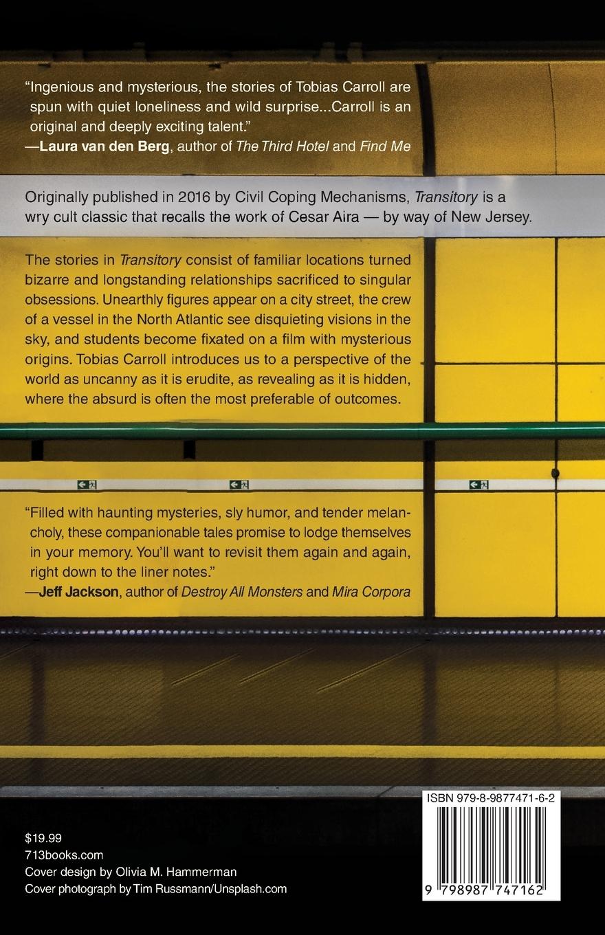 Rückseitencover Transitory