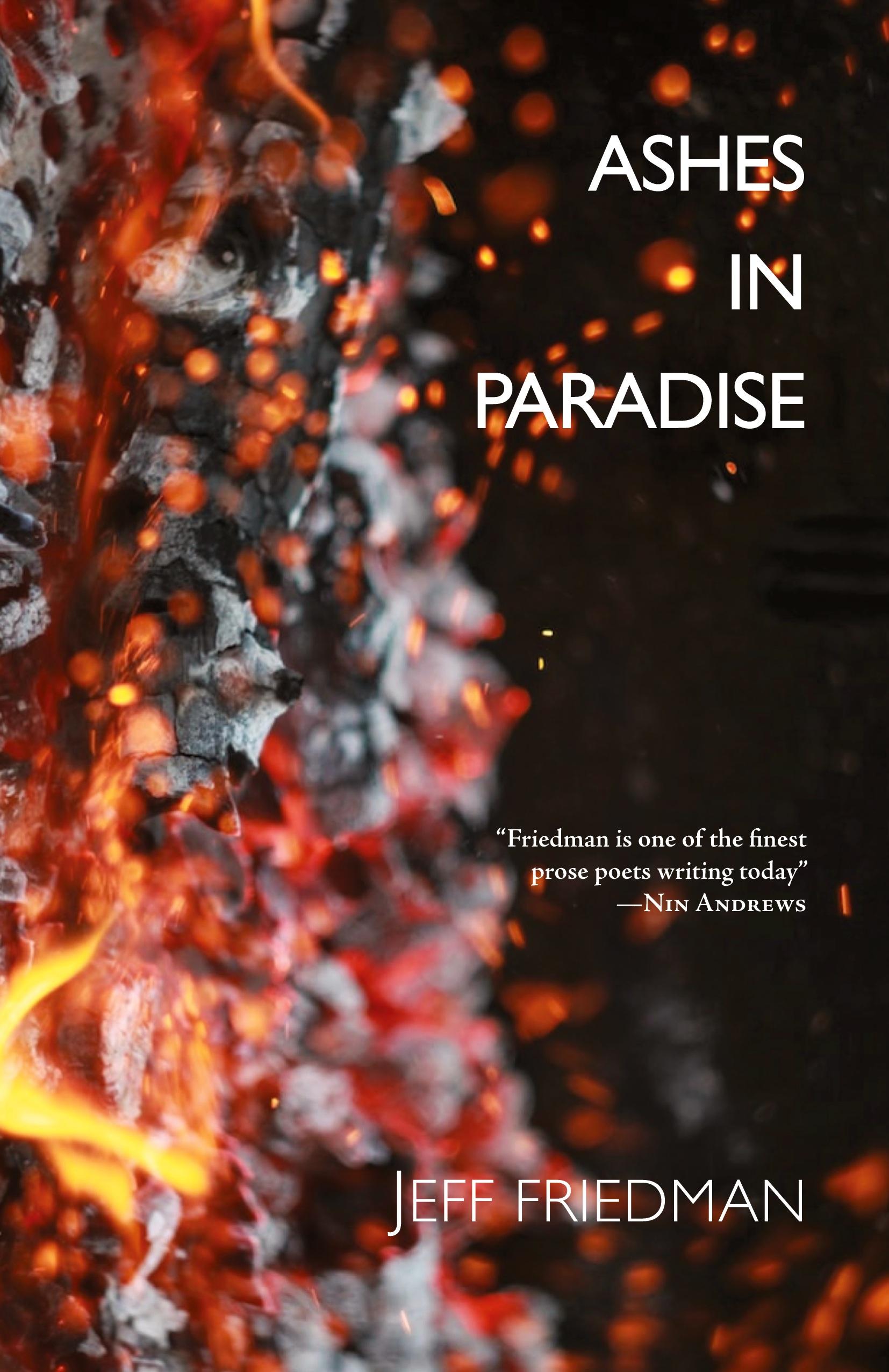 Vorderes Coverbild Ashes in Paradise