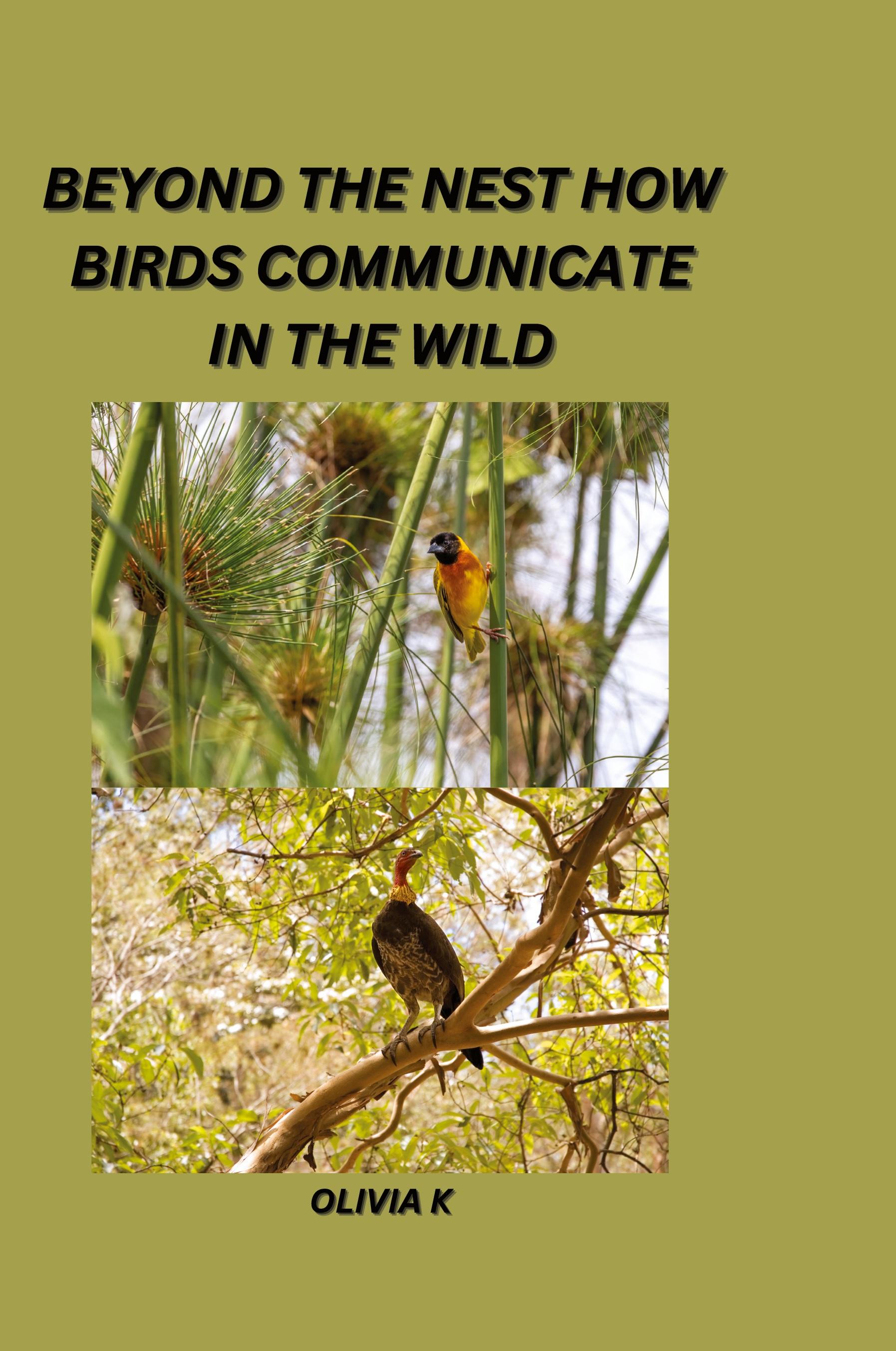 Vorderes Coverbild Beyond the Nest