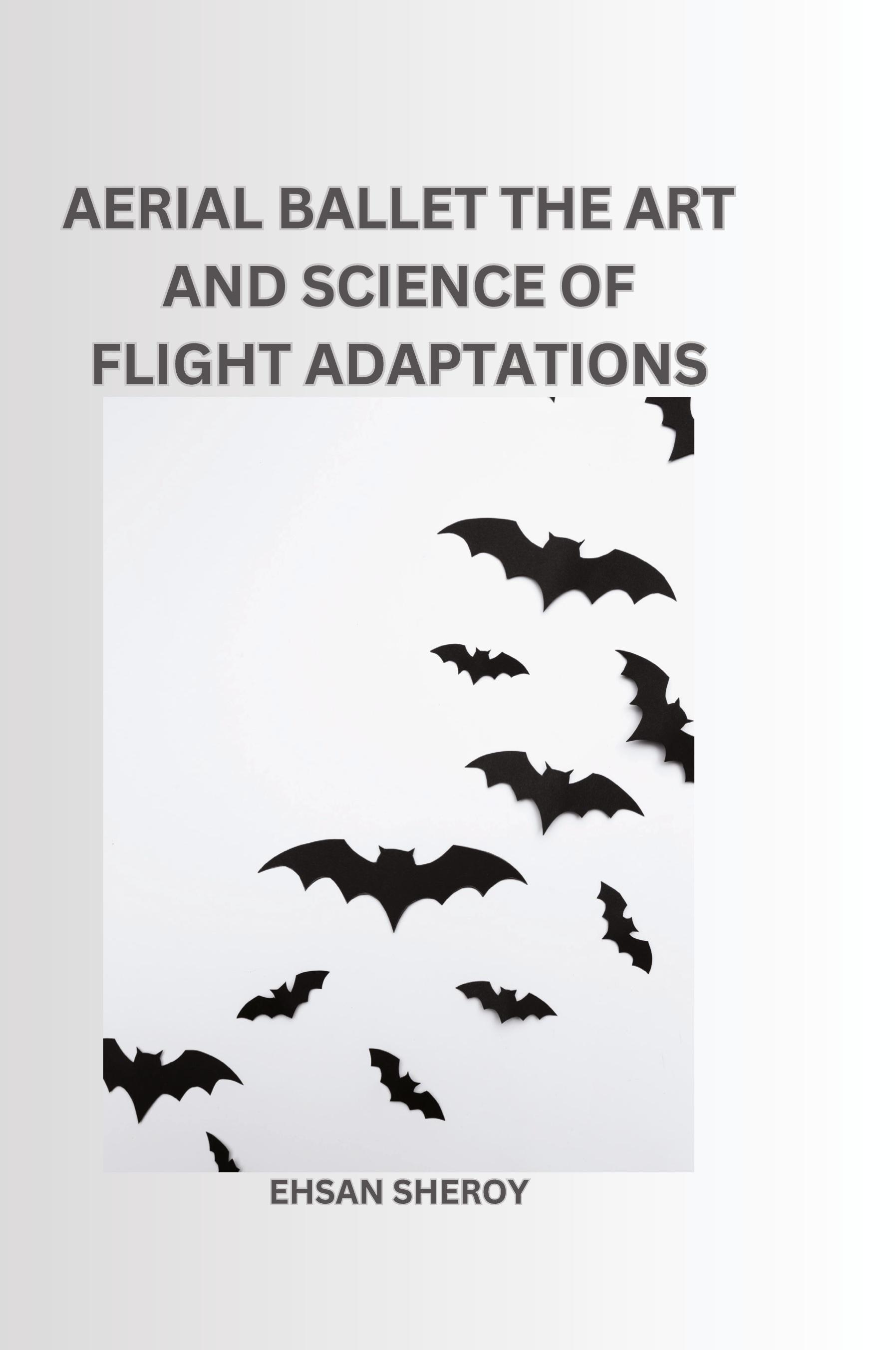 Vorderes Coverbild Aerial Ballet