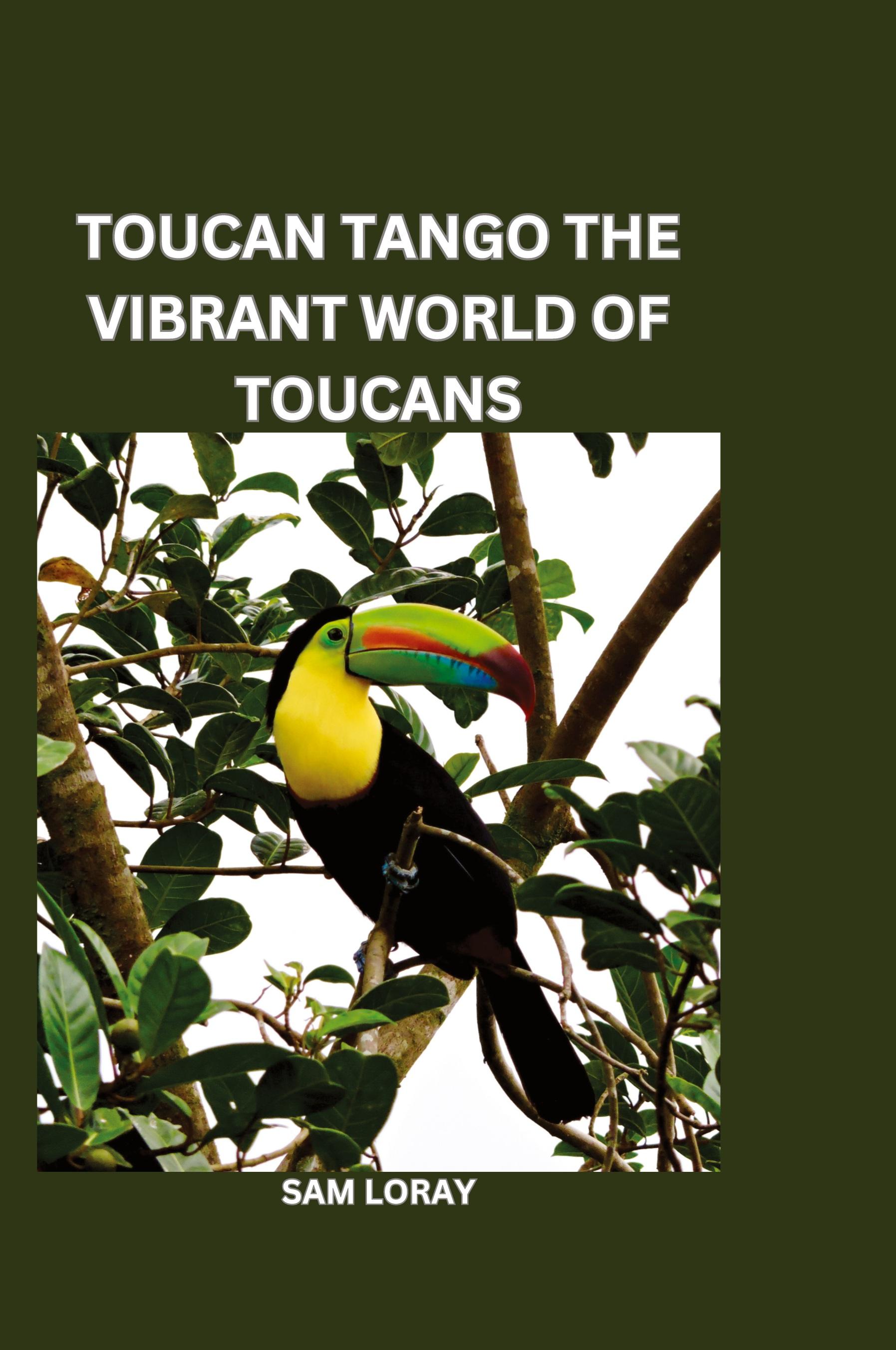 Vorderes Coverbild Toucan Tango