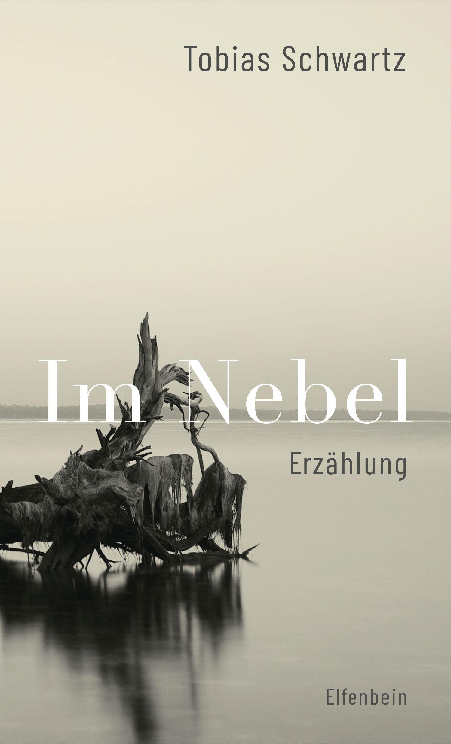 Vorderes Coverbild Im Nebel