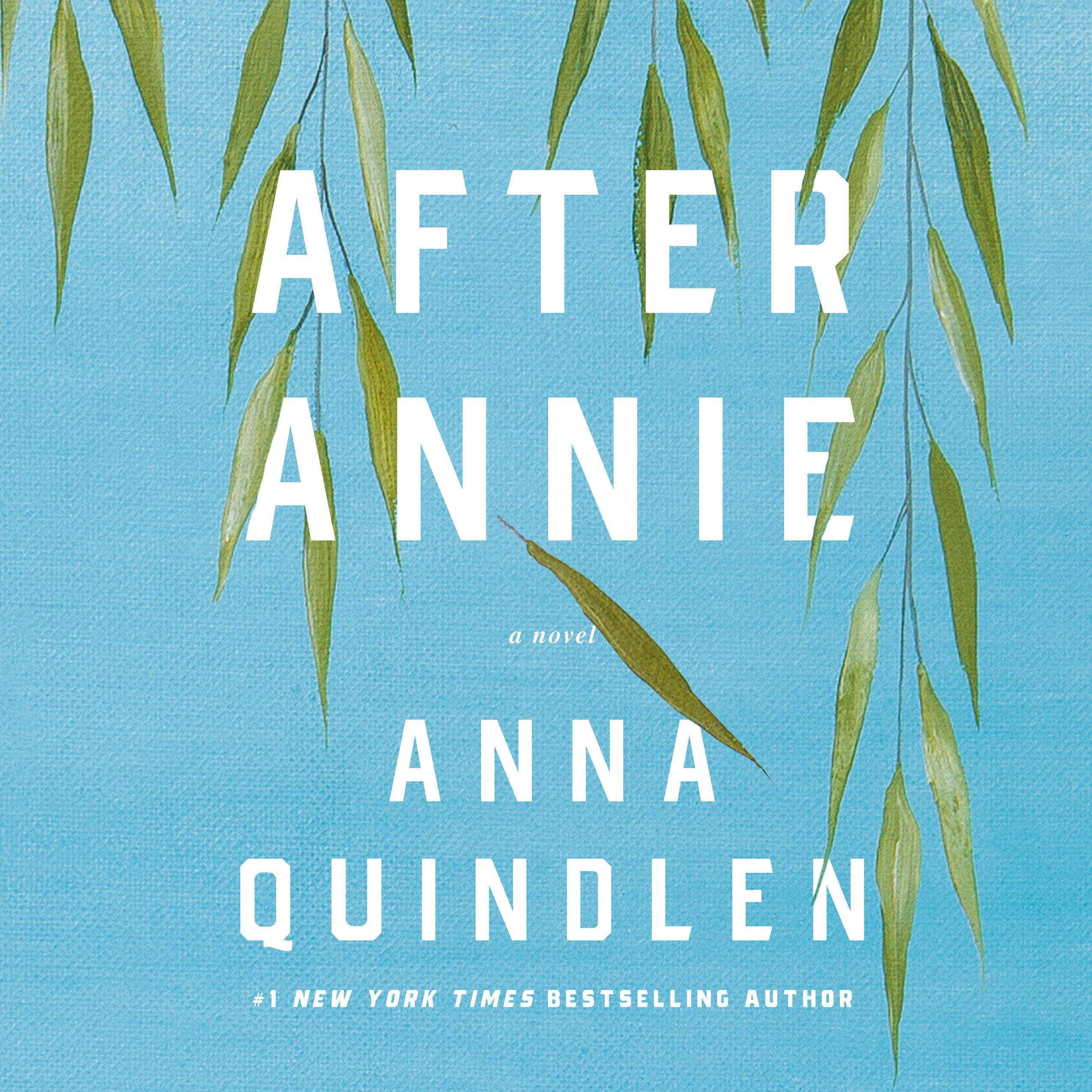 Vorderes Coverbild After Annie