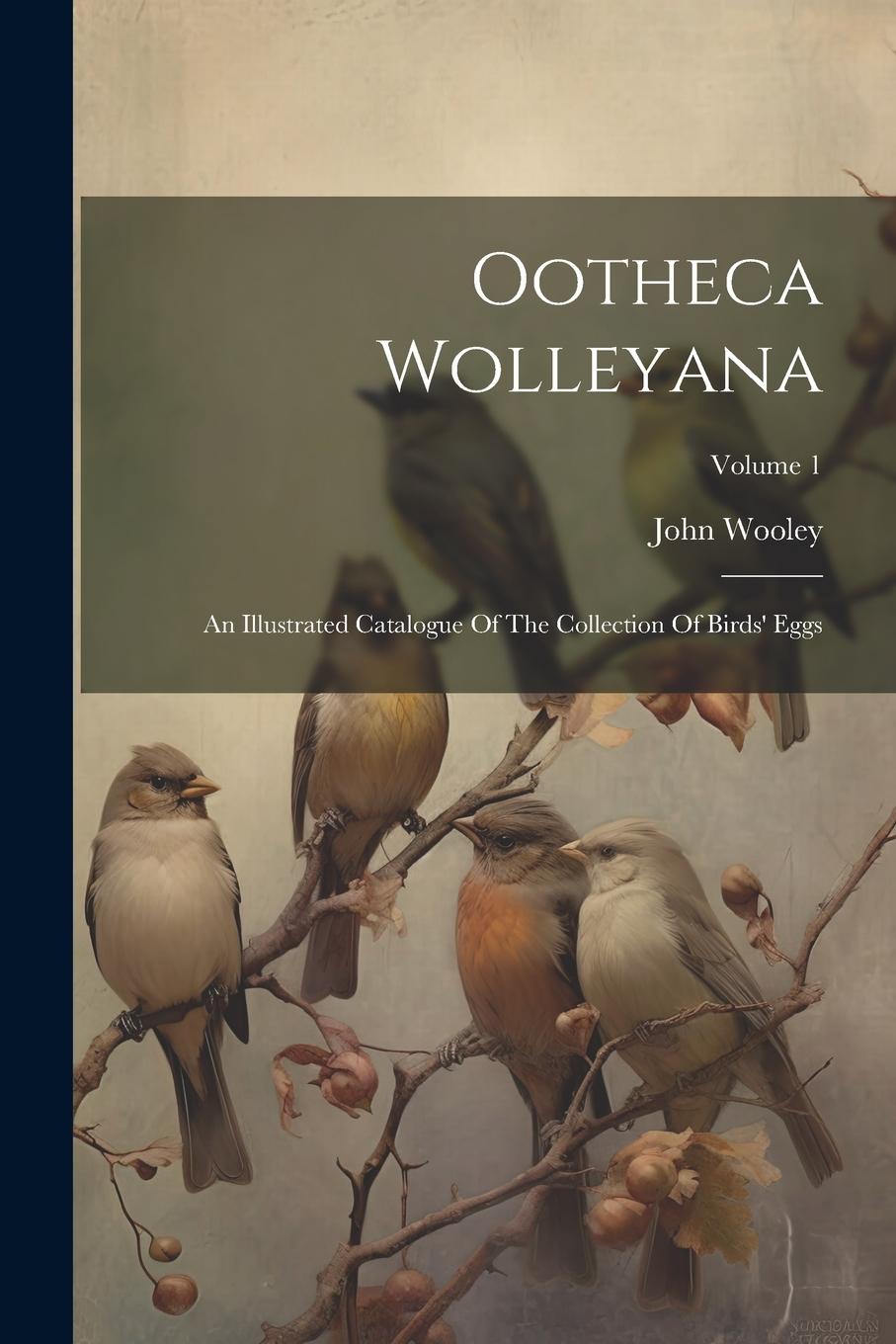 Vorderes Coverbild Ootheca Wolleyana