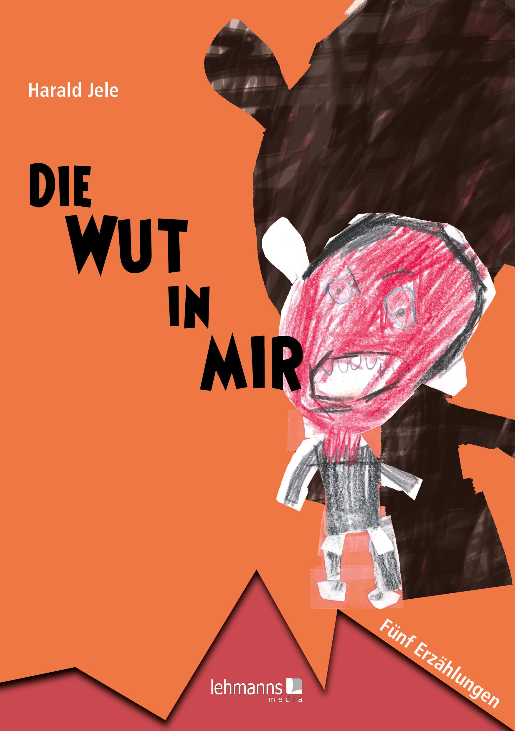Vorderes Coverbild Die Wut in mir