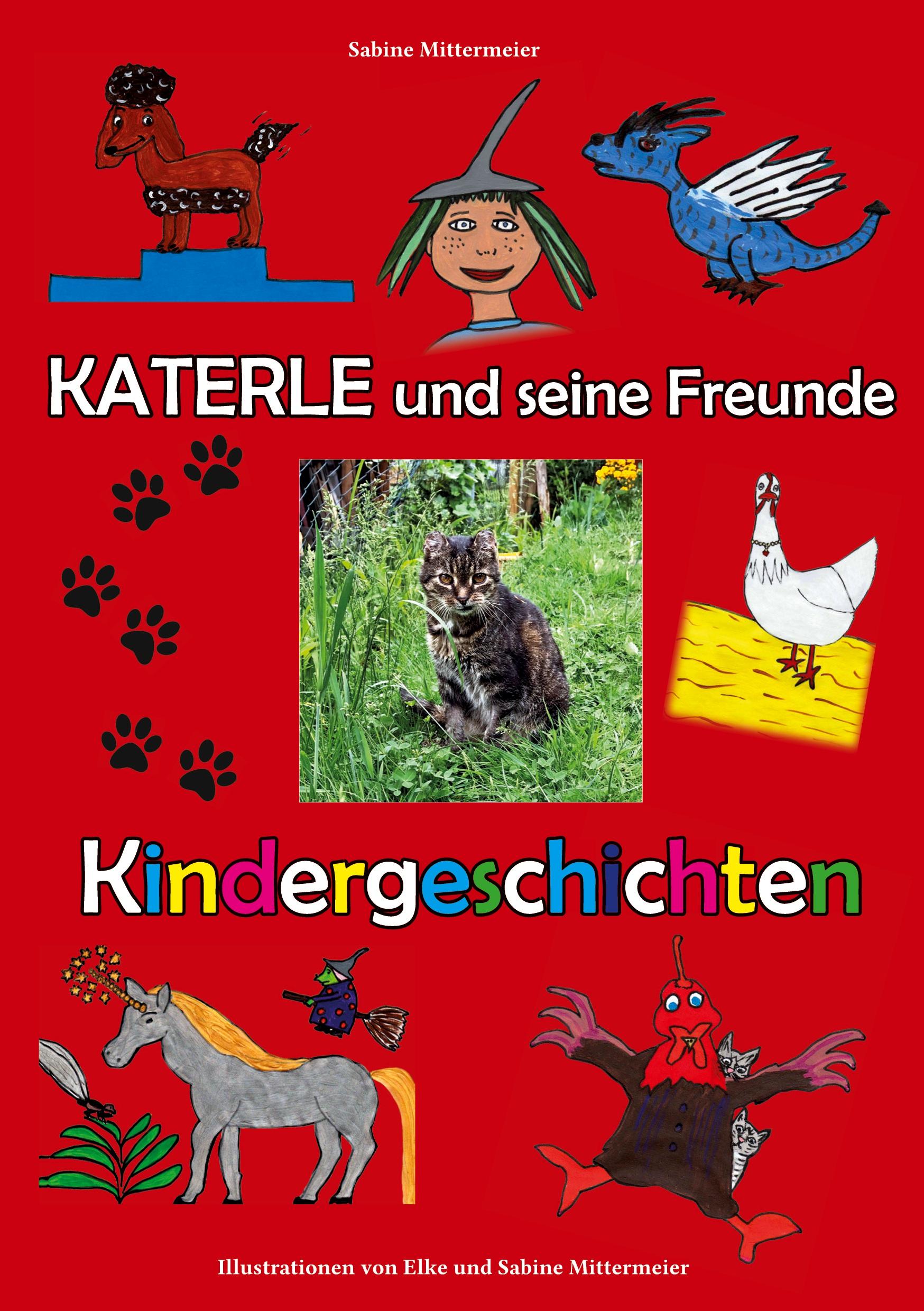 Vorderes Coverbild Katerle und seine Freunde