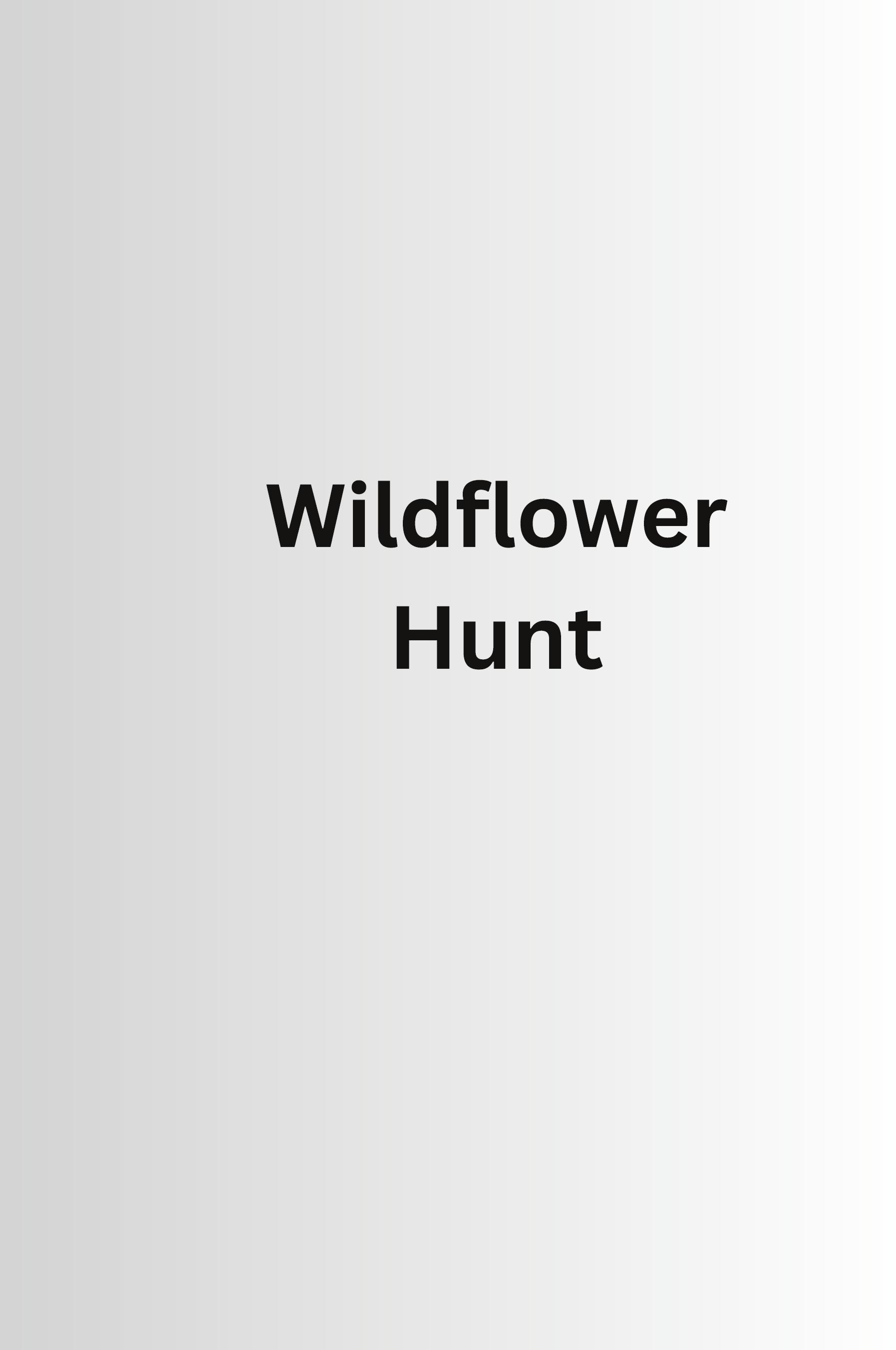 Vorderes Coverbild Wildflower Hunt
