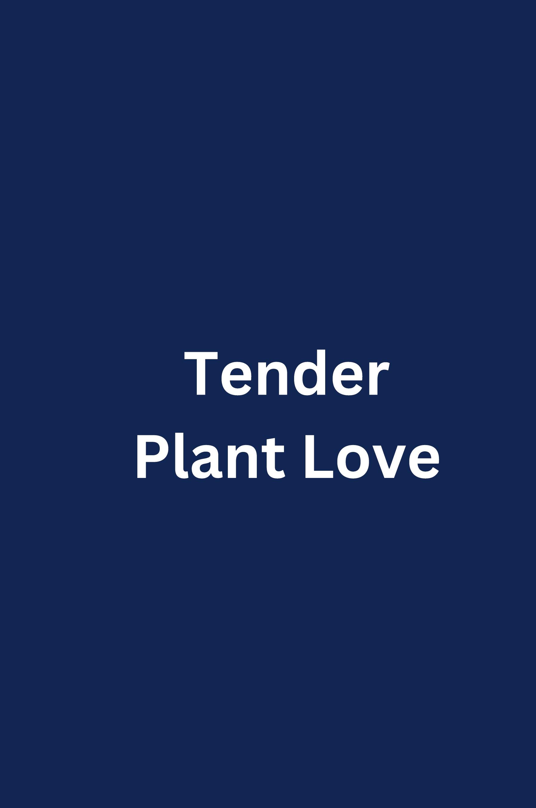 Vorderes Coverbild Tender Plant Love