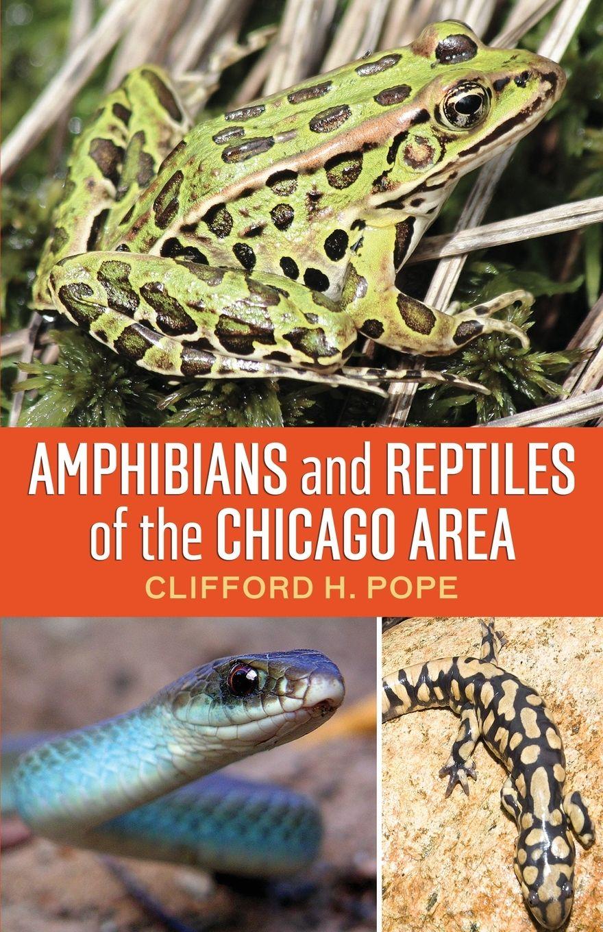 Vorderes Coverbild Amphibians and Reptiles of the Chicago Area