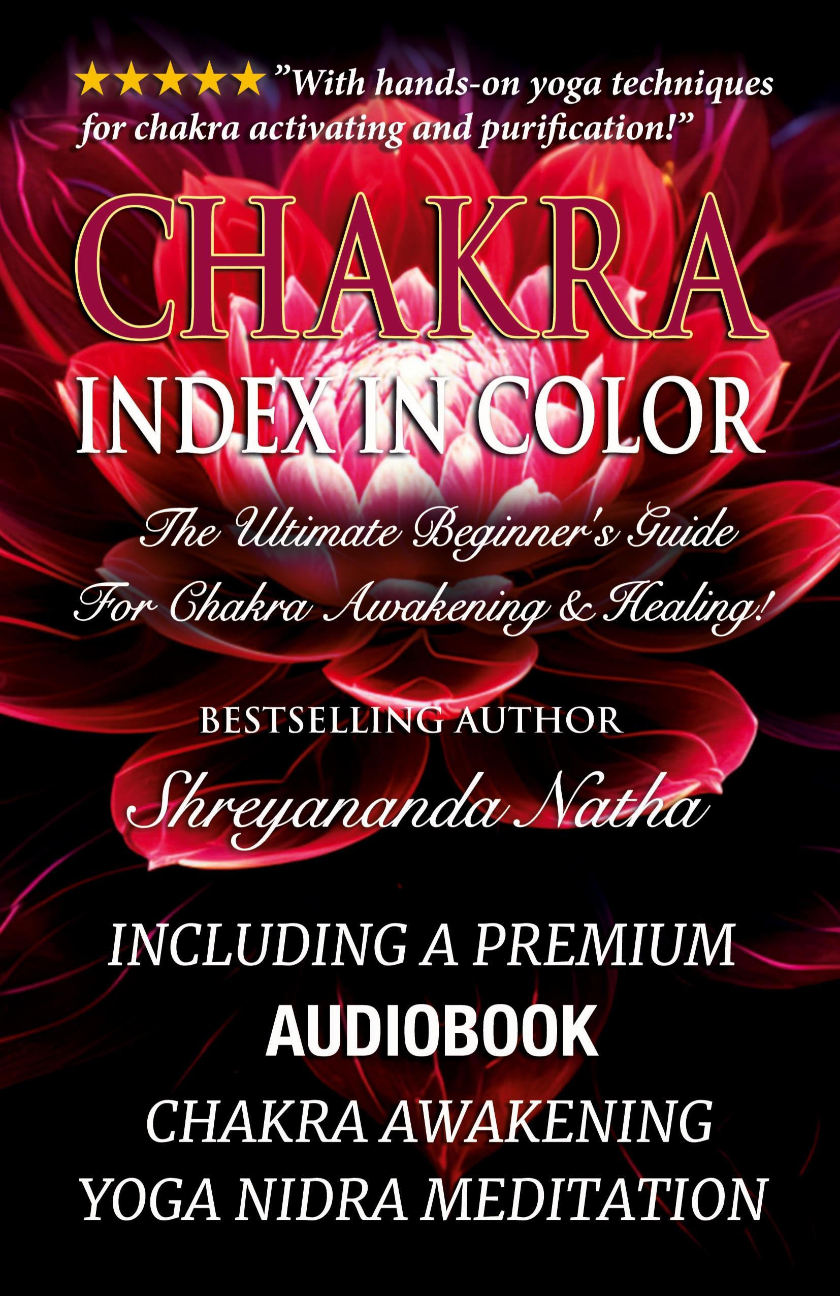 Vorderes Coverbild Chakra Index In Color