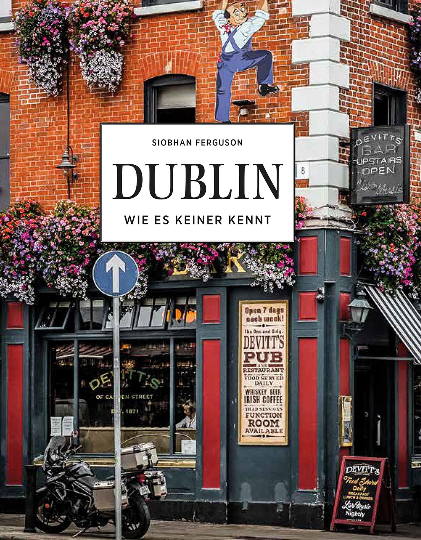 Vorderes Coverbild DUBLIN - Wie es keiner kennt