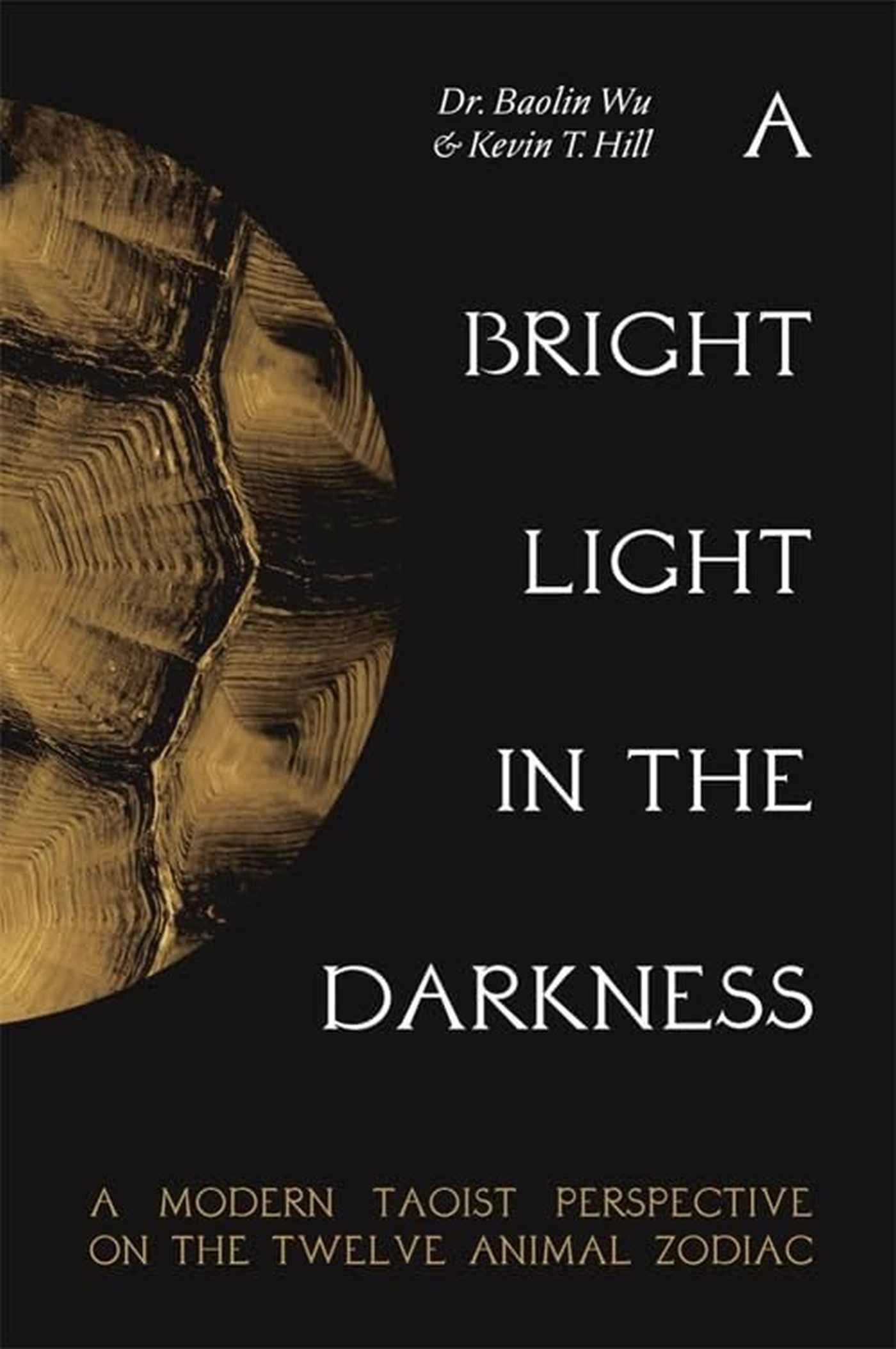 Vorderes Coverbild A Bright Light in the Darkness