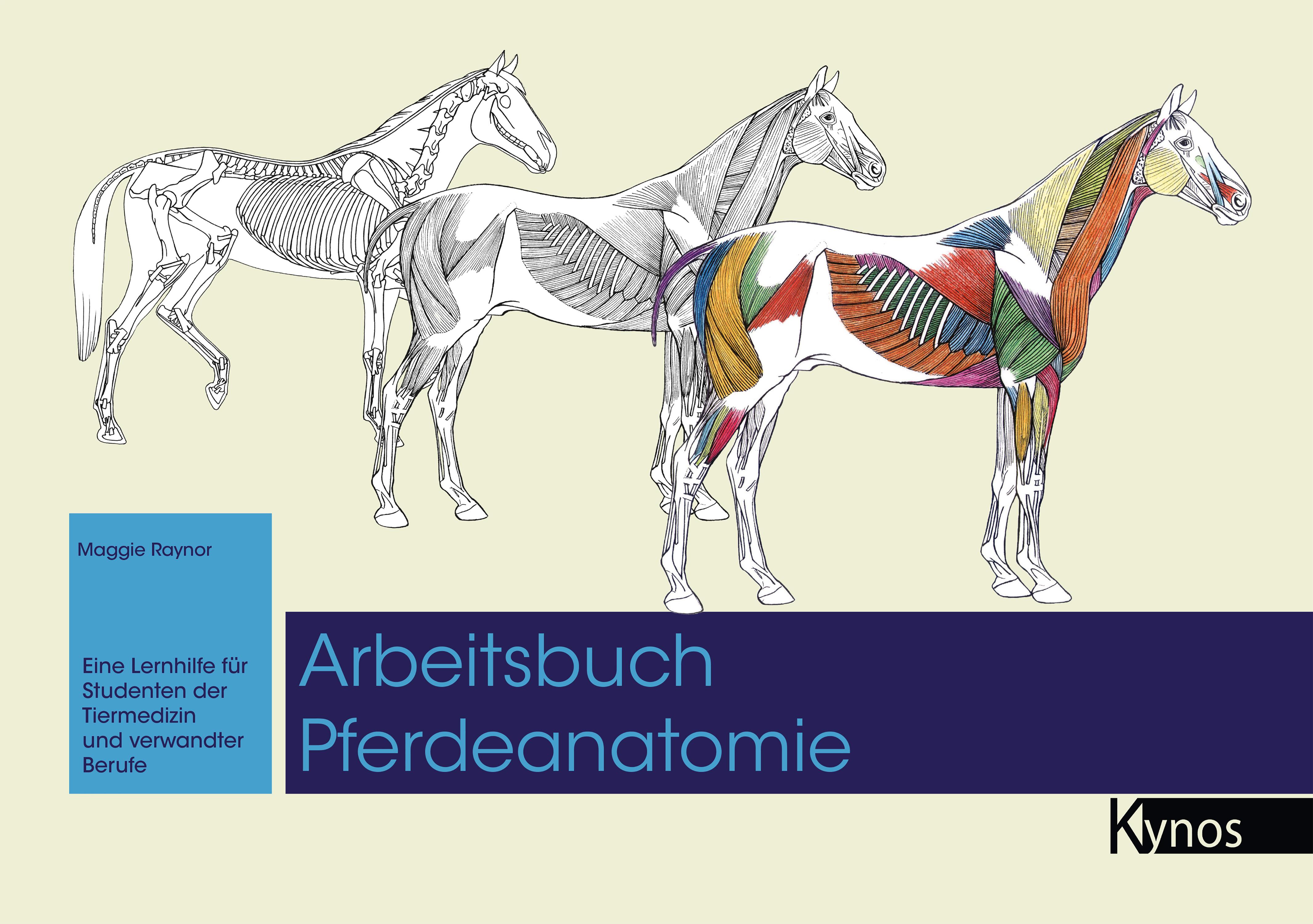 Vorderes Coverbild Arbeitsbuch Pferdeanatomie
