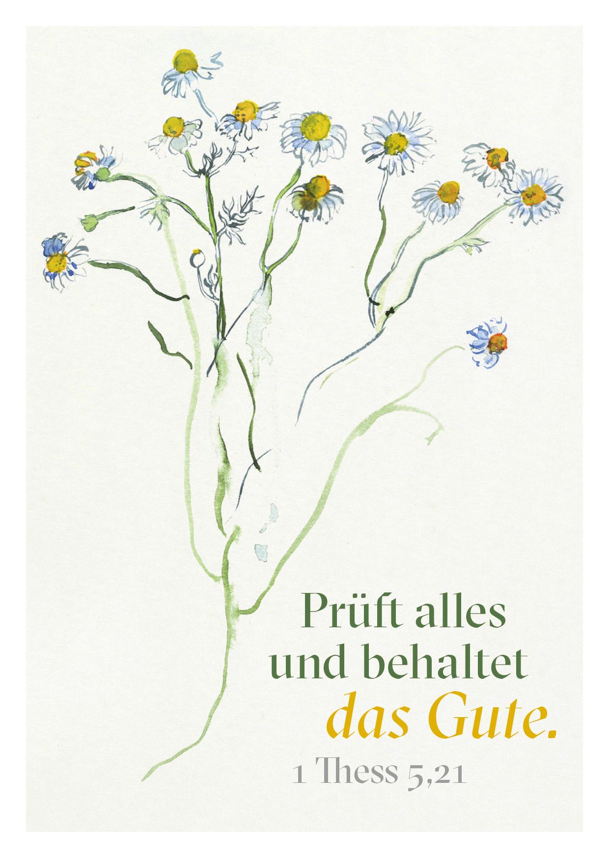 Beispielinhalt (Bild) Ein Segenswunsch für Dich