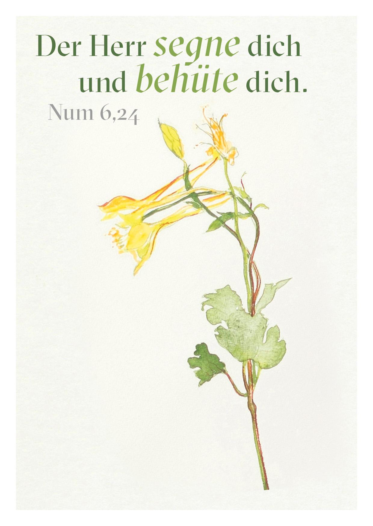 Beispielinhalt (Bild) Ein Segenswunsch für Dich