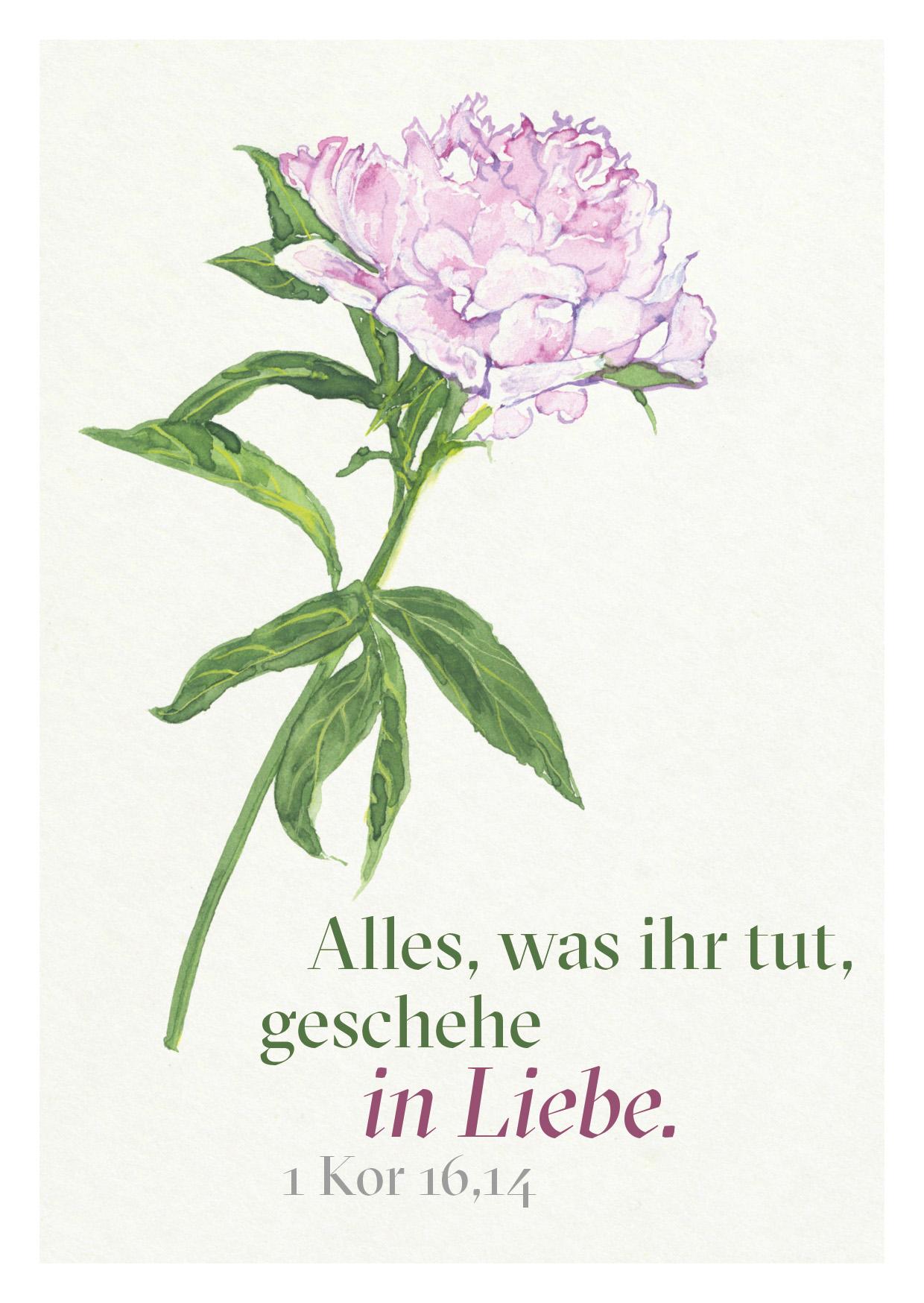 Beispielinhalt (Bild) Ein Segenswunsch für Dich