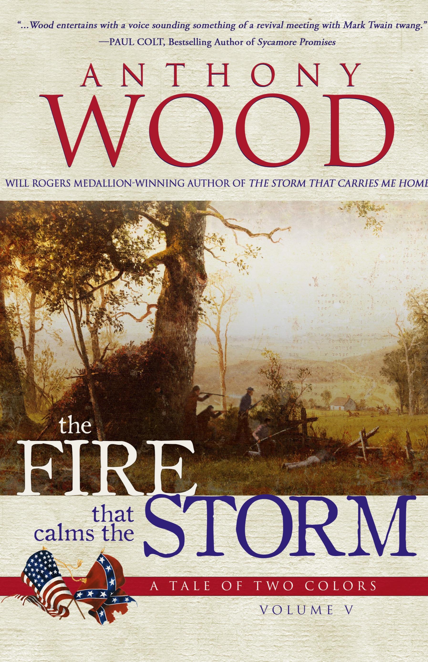 Vorderes Coverbild The Fire that Calms the Storm